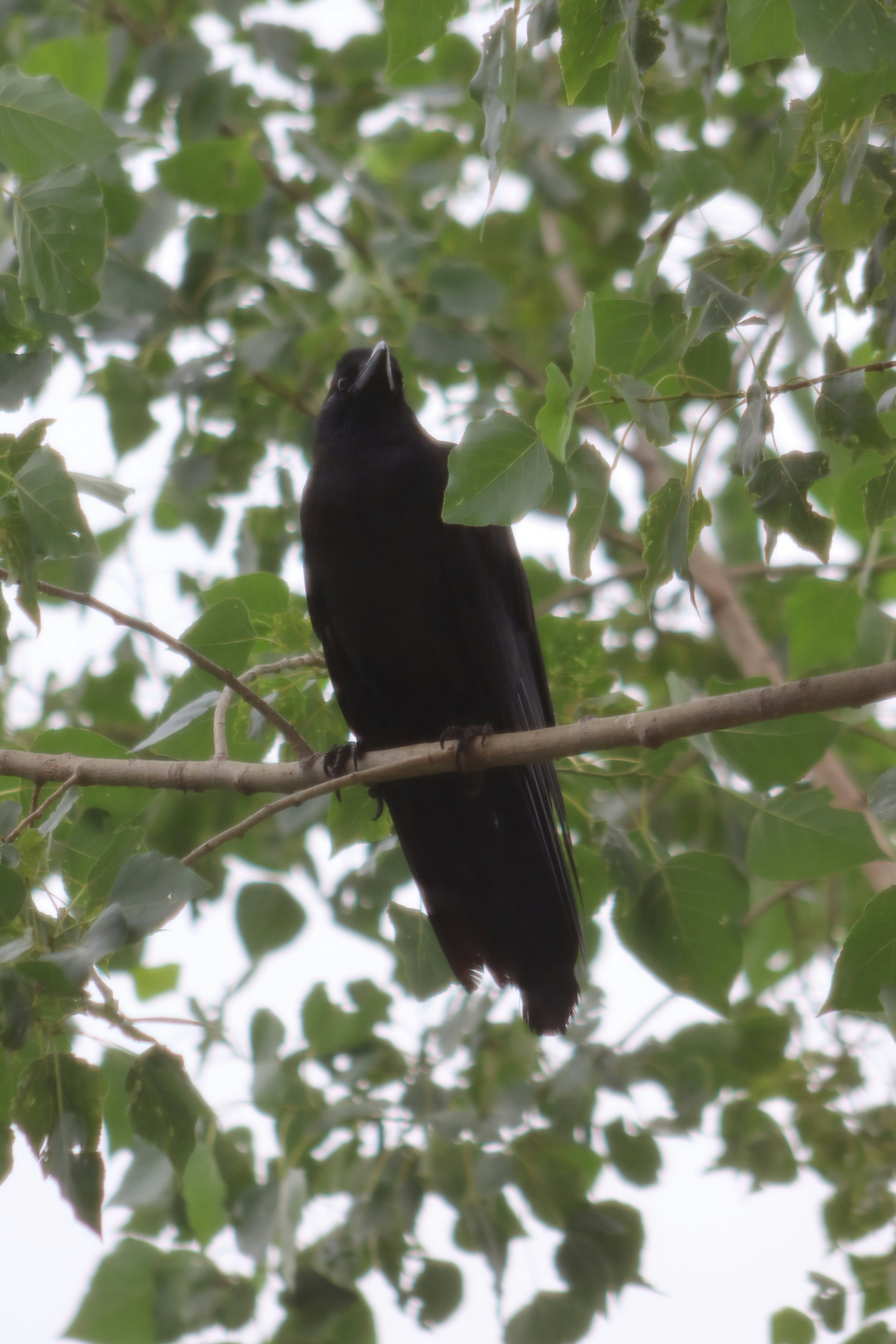 Photo by drphotographer152