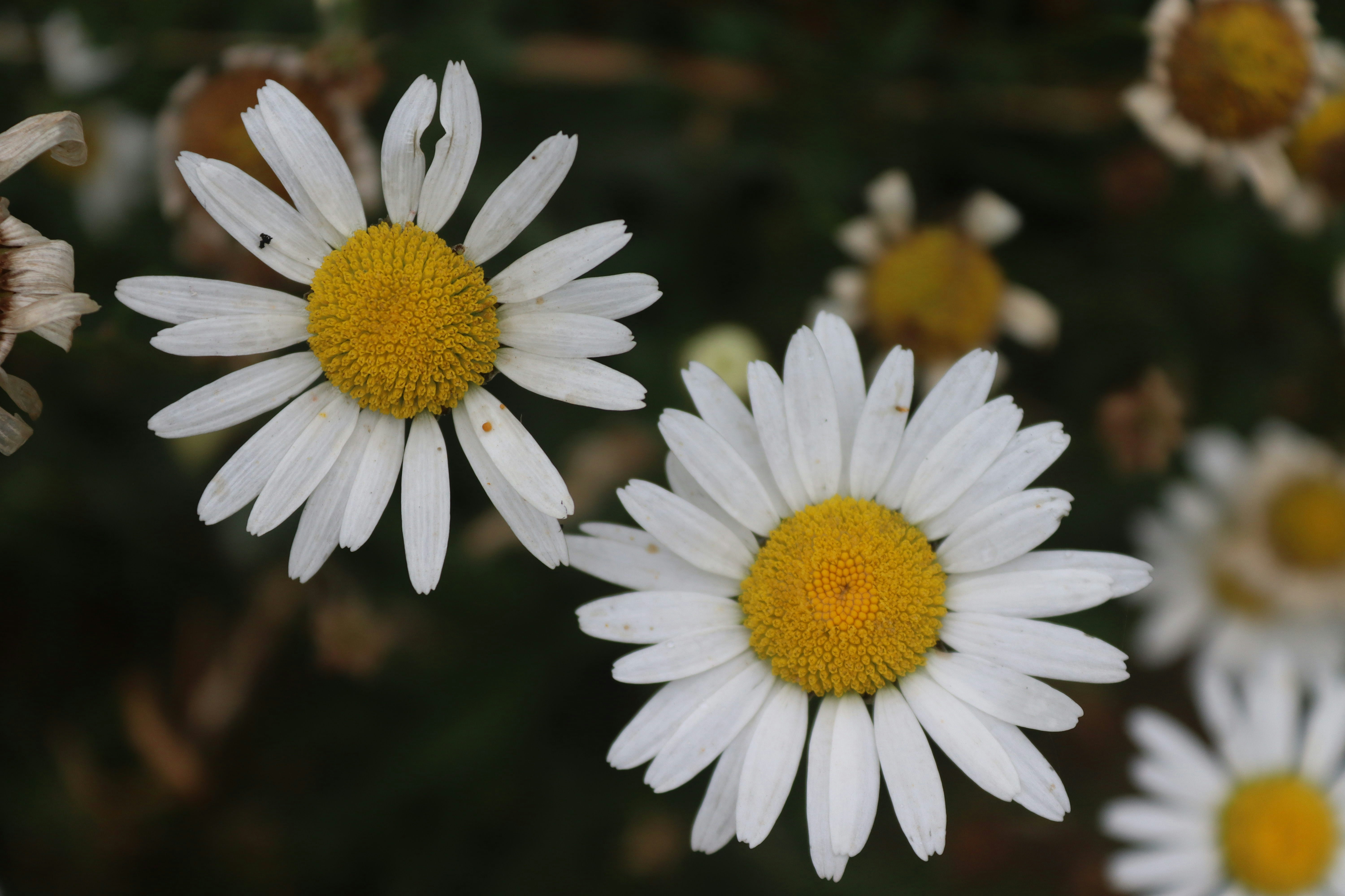 Photo by drphotographer152