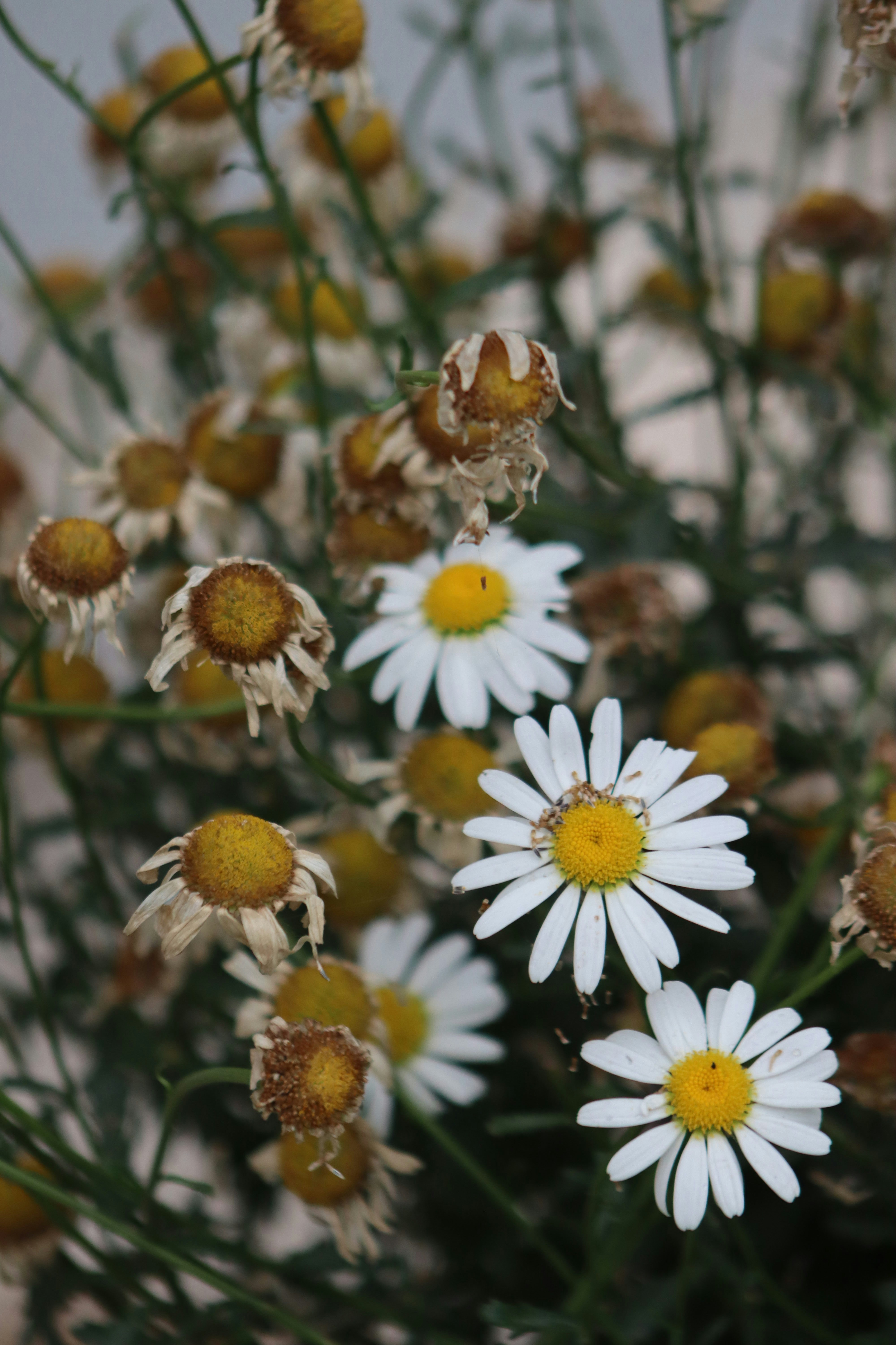 Photo by drphotographer152