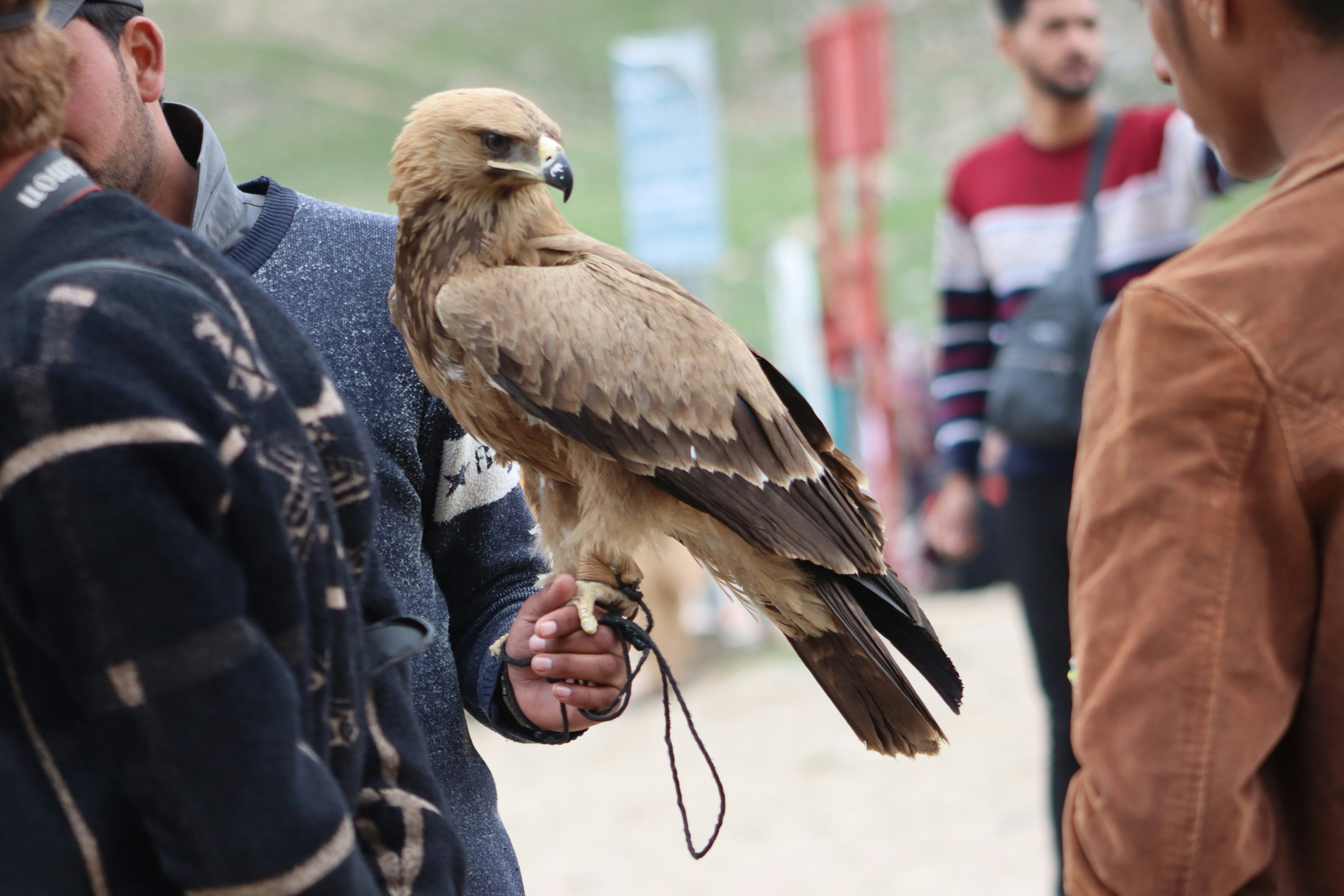 Photo by drphotographer152