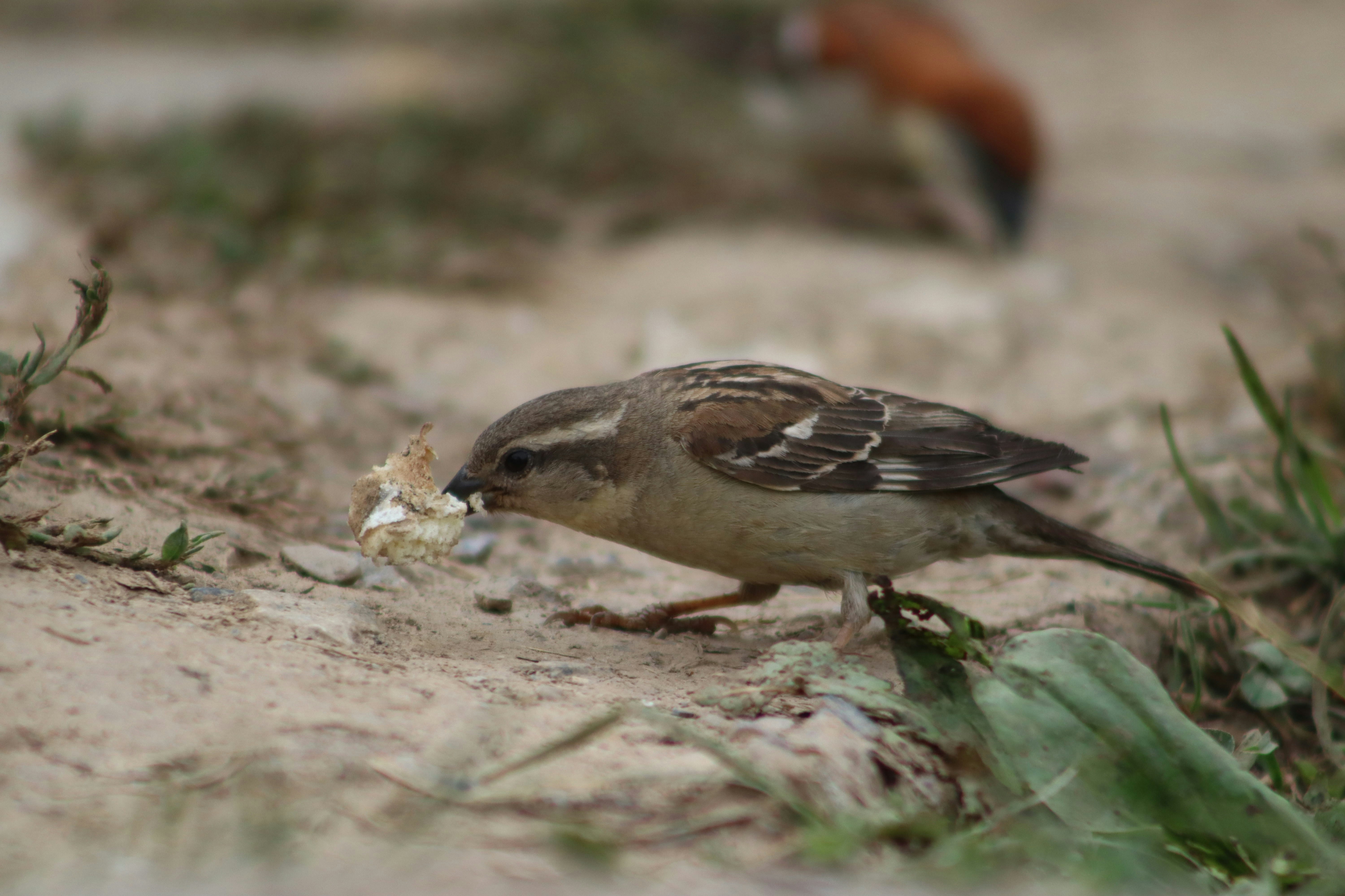 Photo by drphotographer152