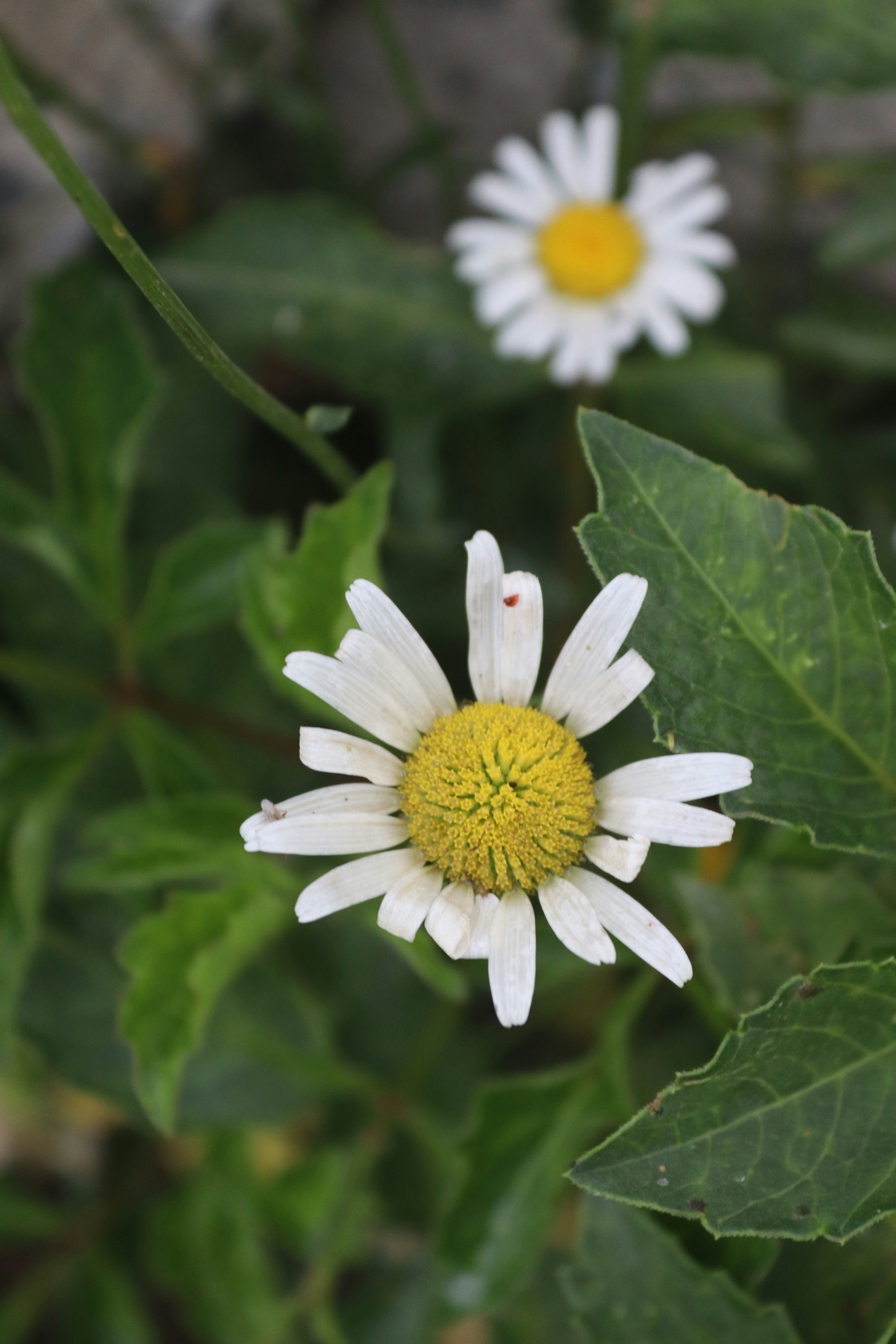 Photo by drphotographer152