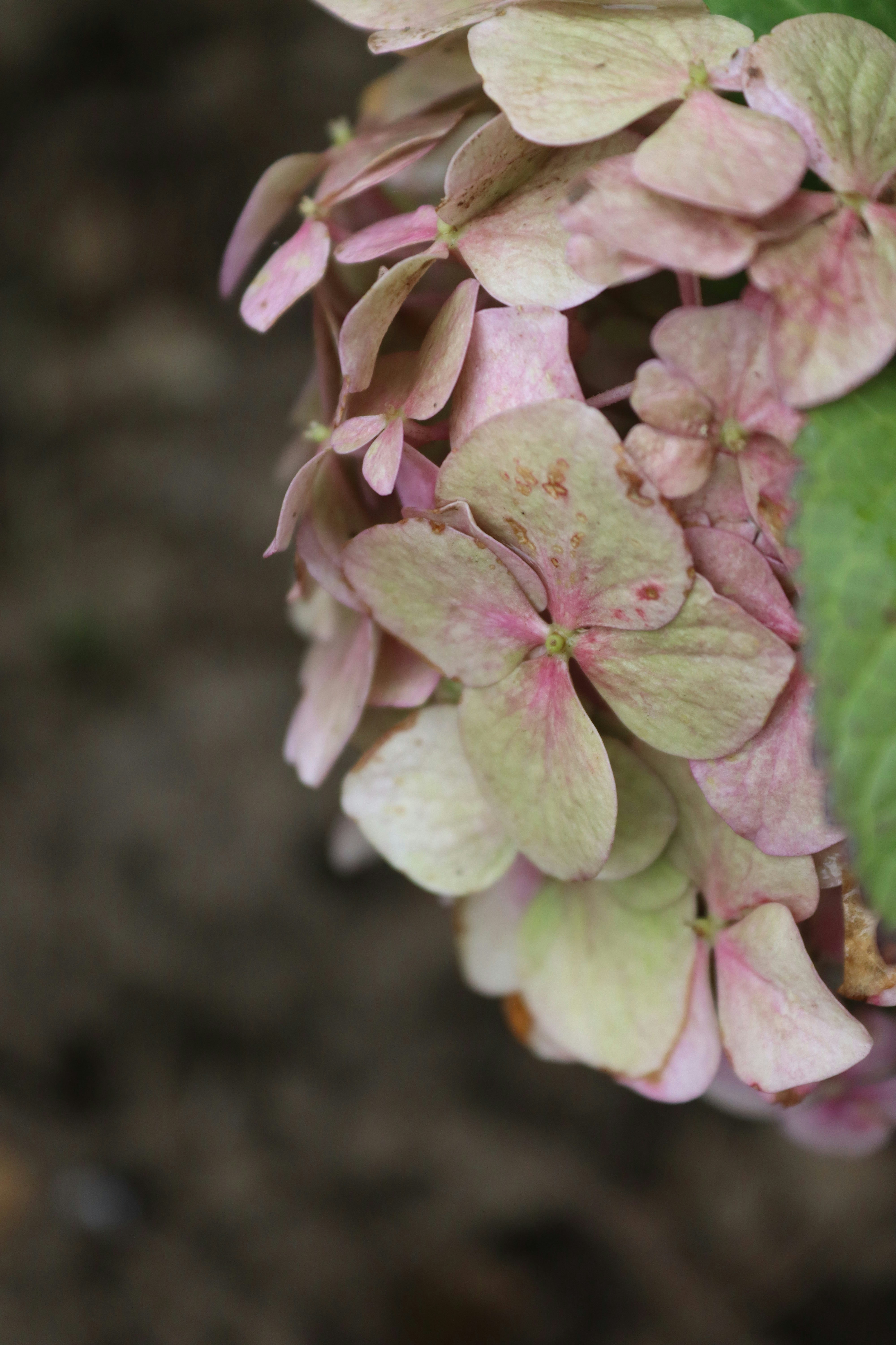 Photo by drphotographer152