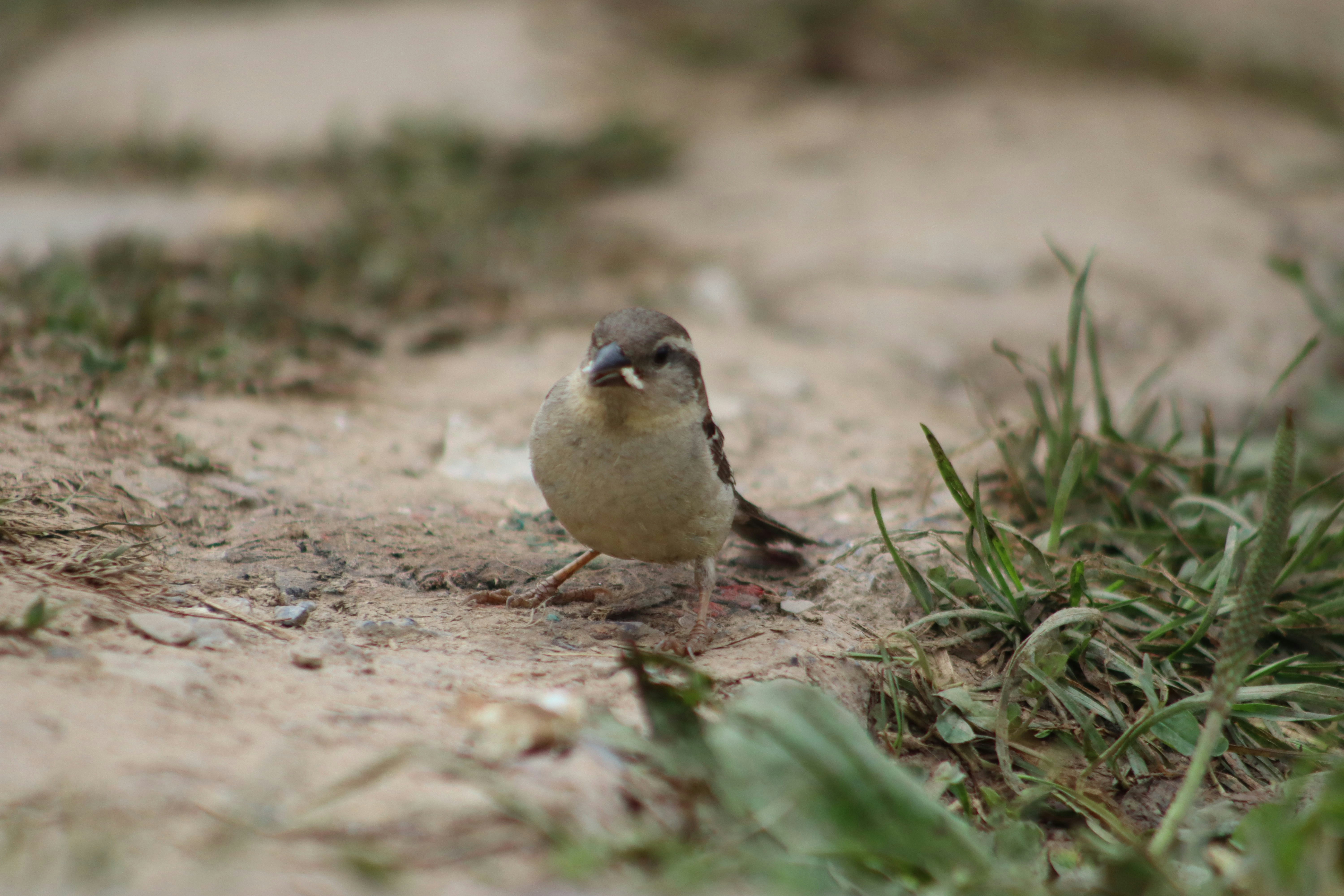 Photo by drphotographer152