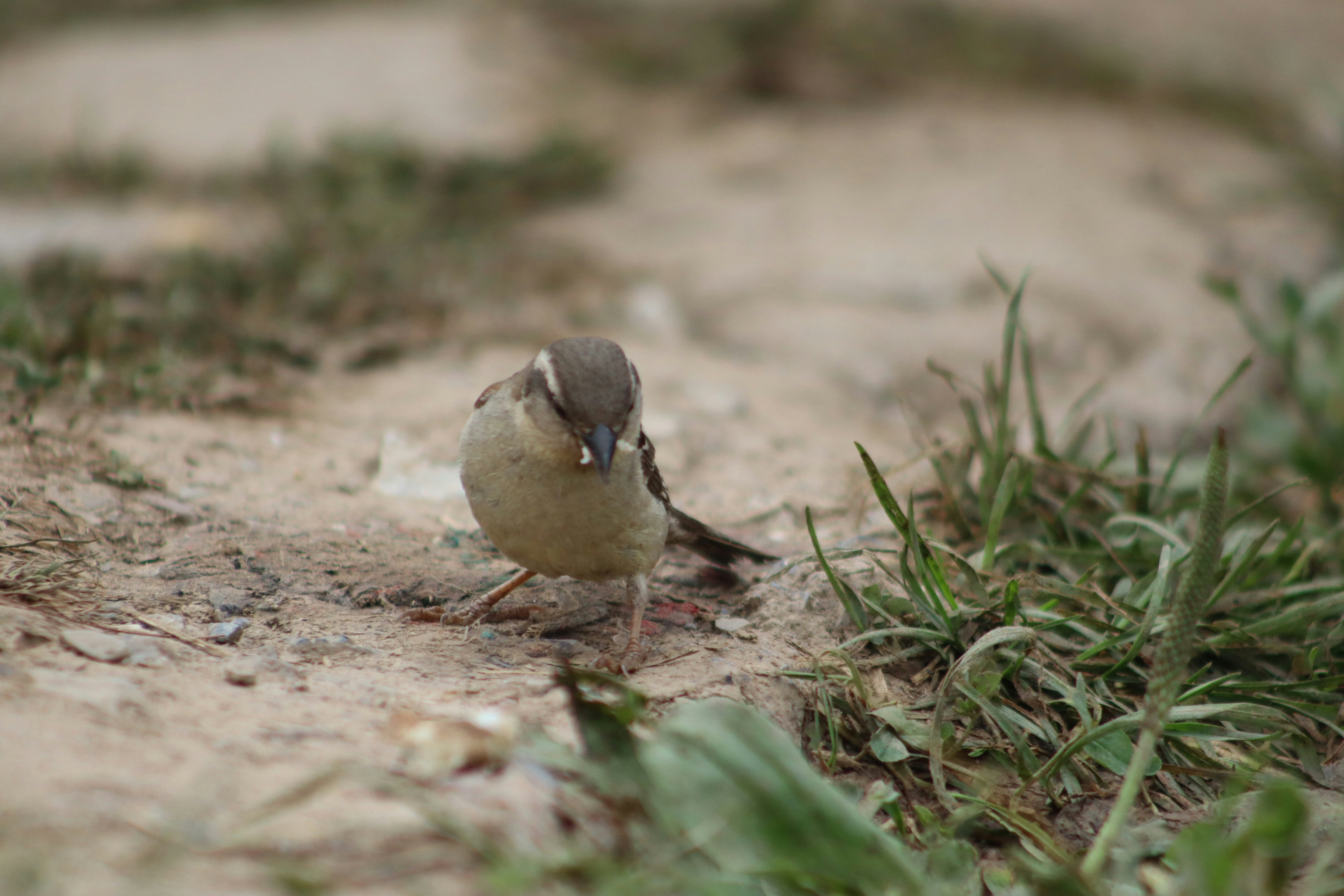 Photo by drphotographer152