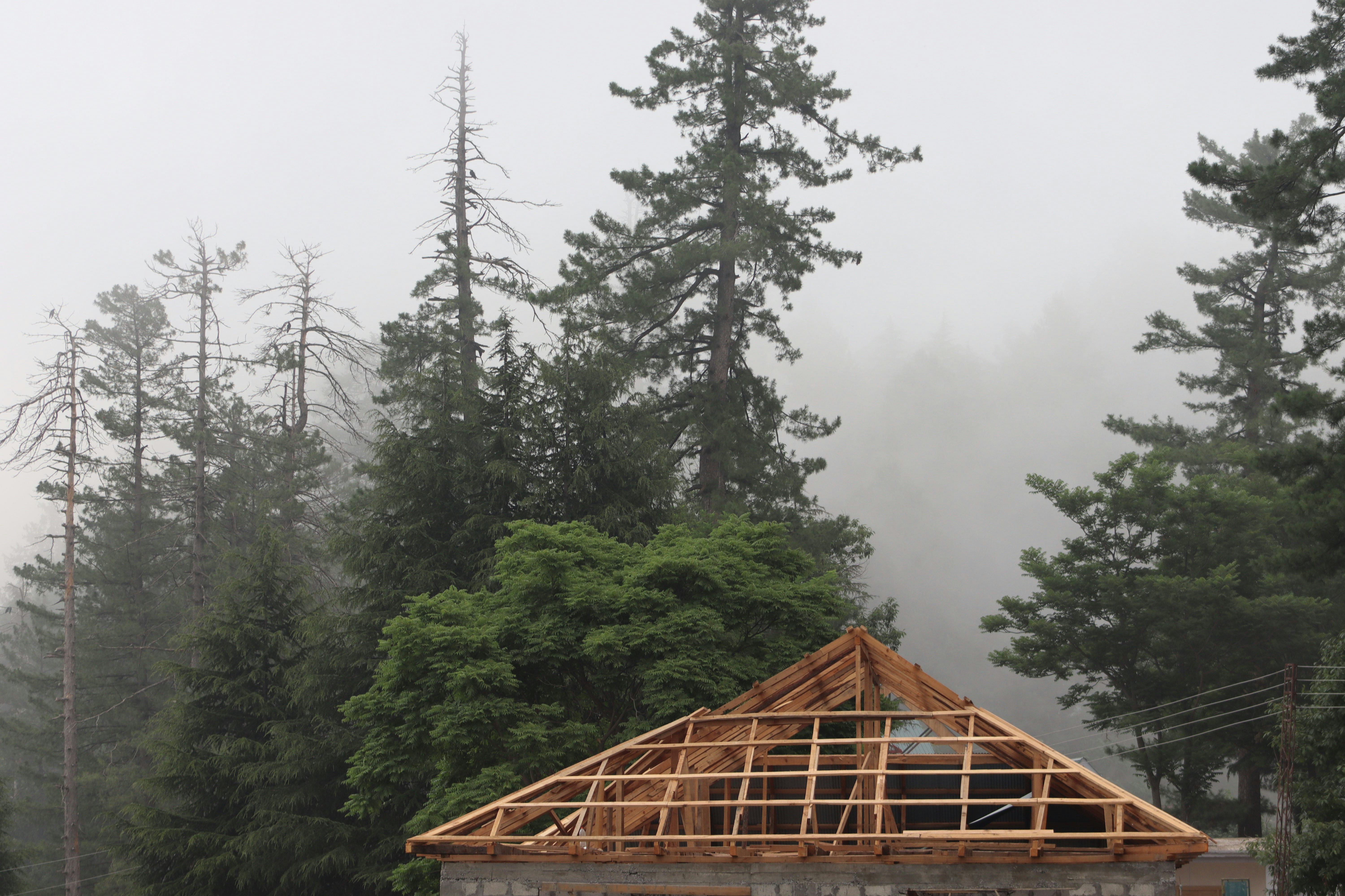 A house under construction in the middle of a forest