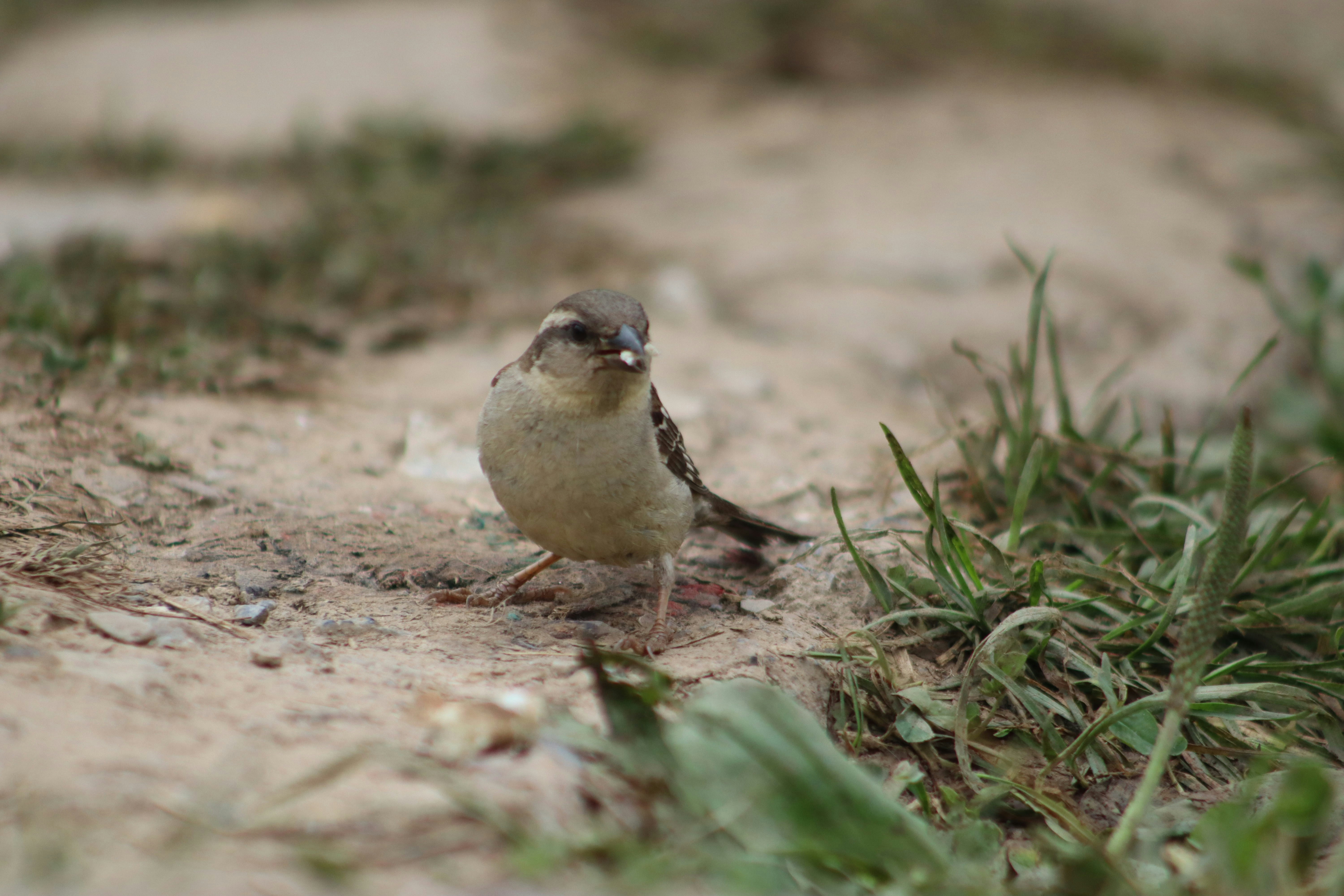 Photo by drphotographer152