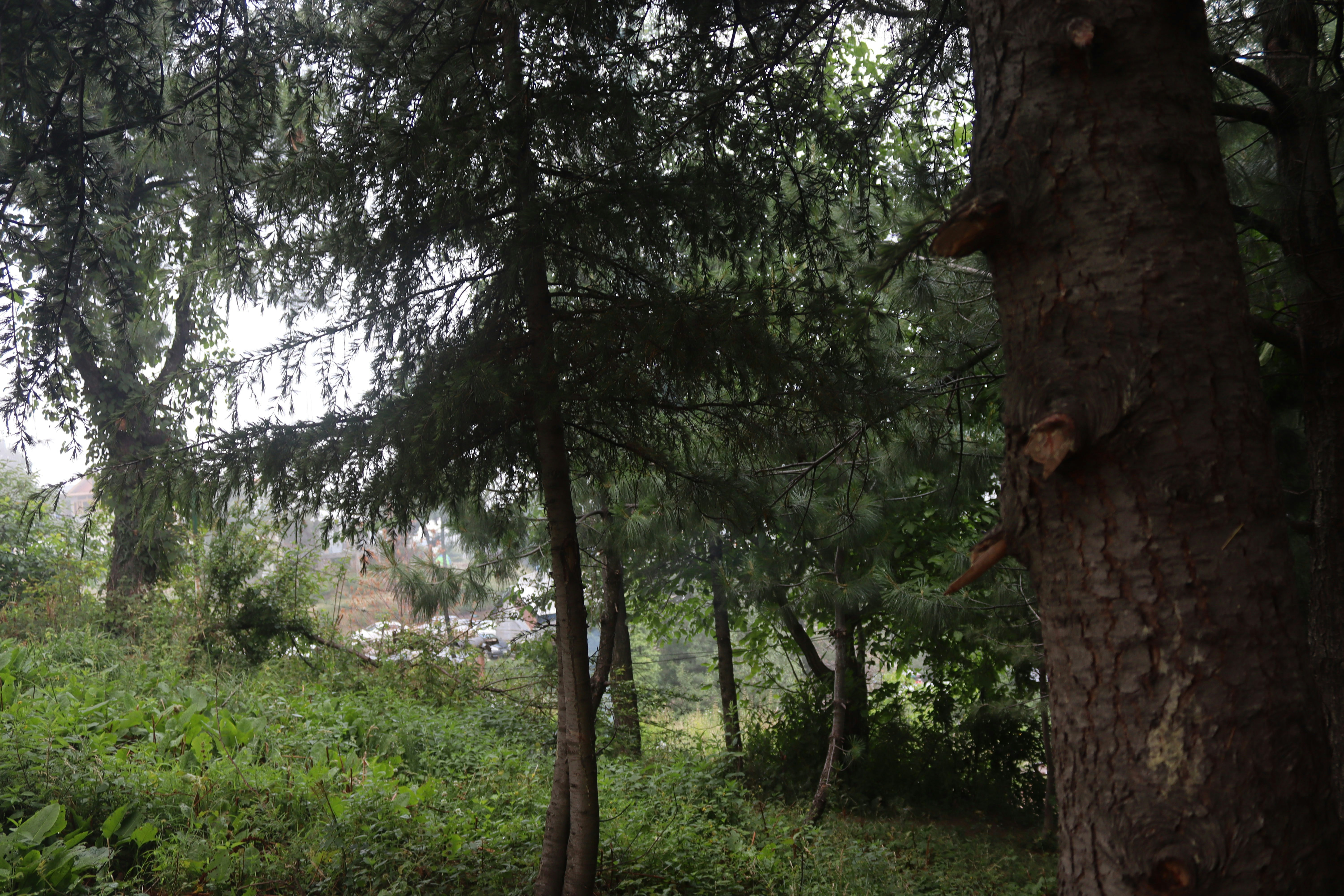 Photo by drphotographer152