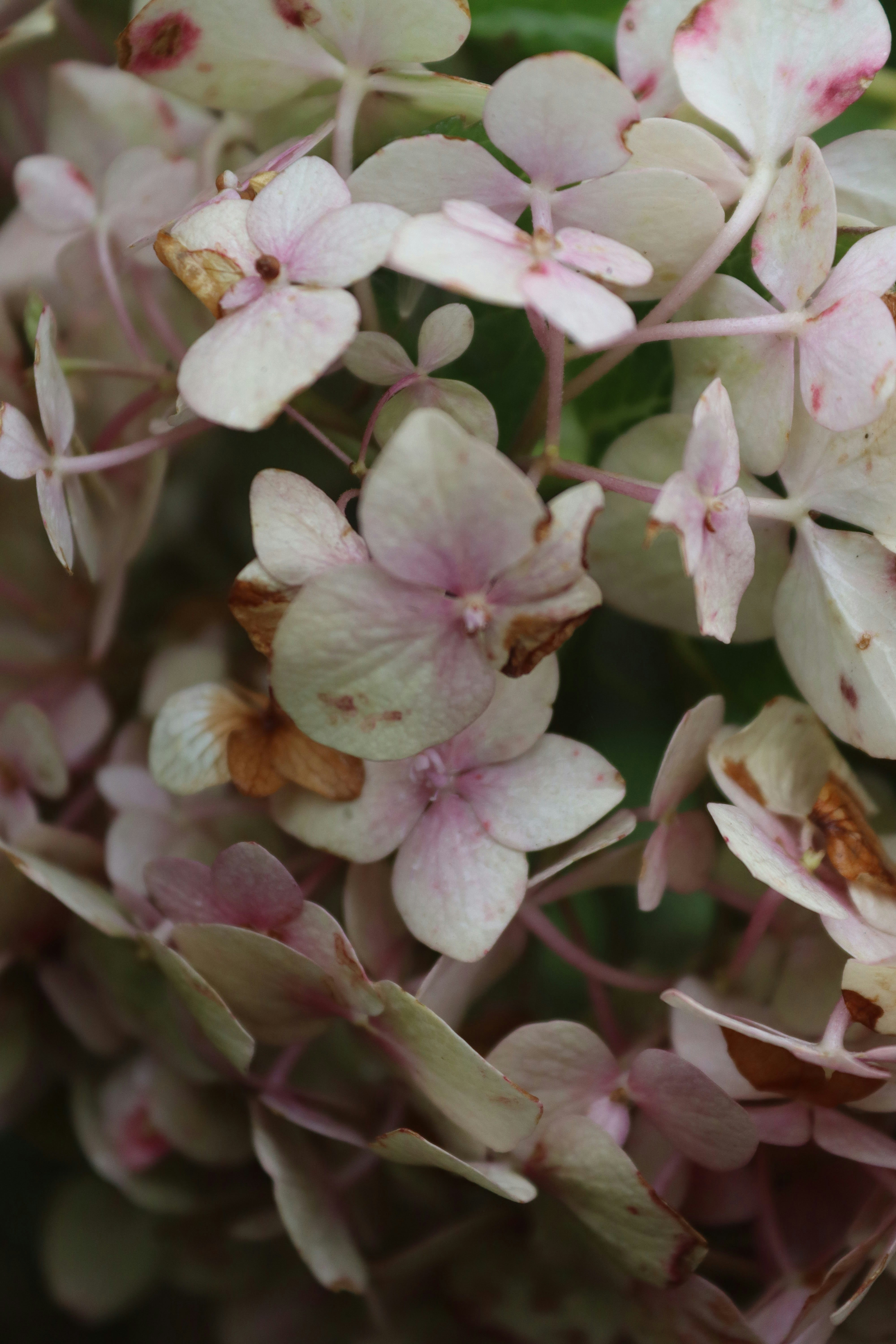 Photo by drphotographer152