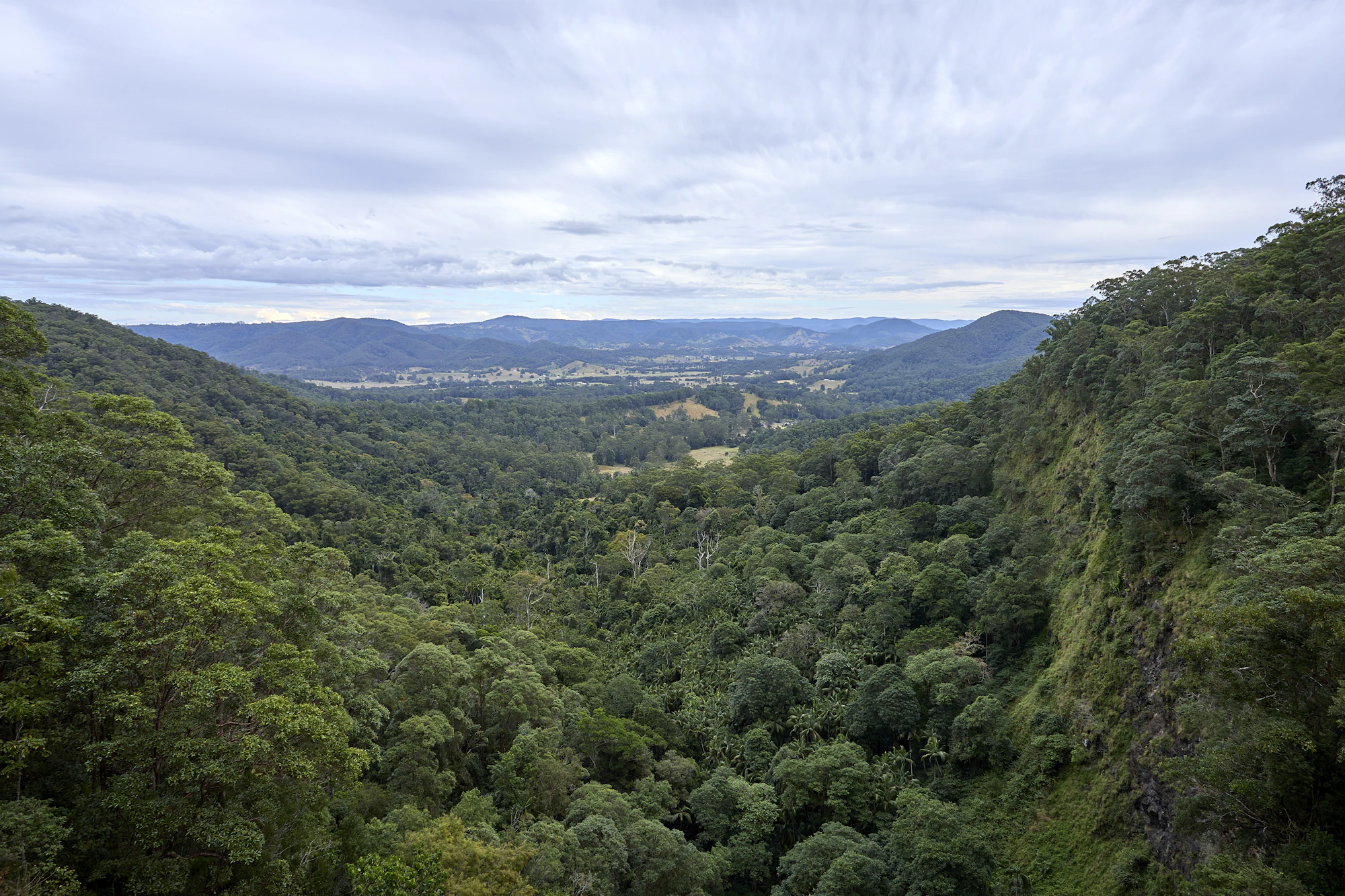 Mapleton — Blackall Range forest and hinterland