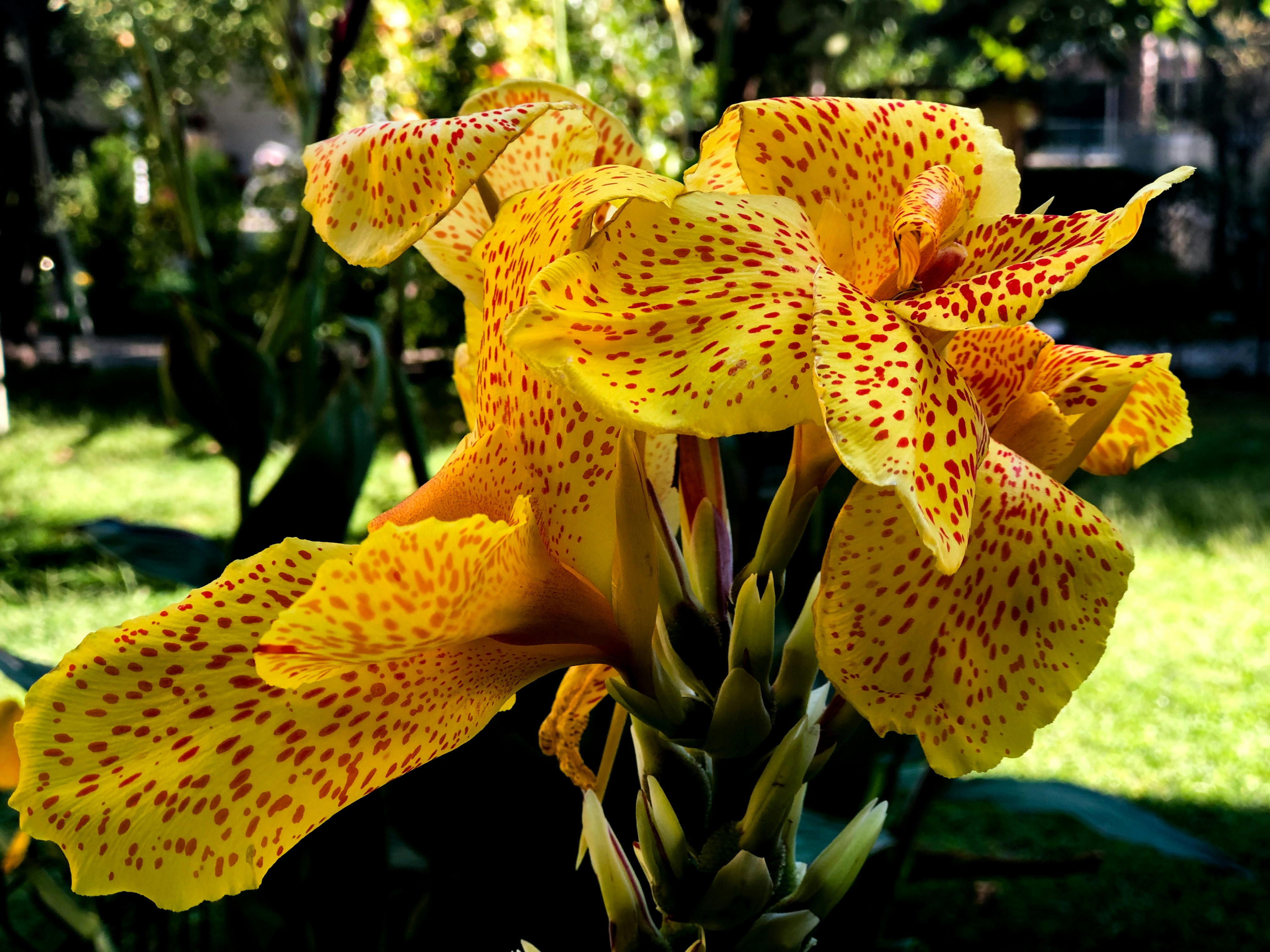 표준화와 정규화 차이점, 데이터 처리 전 알아야 할 것