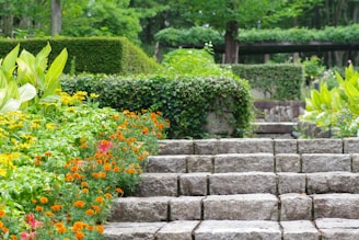 A garden filled with lots of different types of flowers