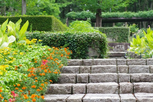 A garden filled with lots of different types of flowers