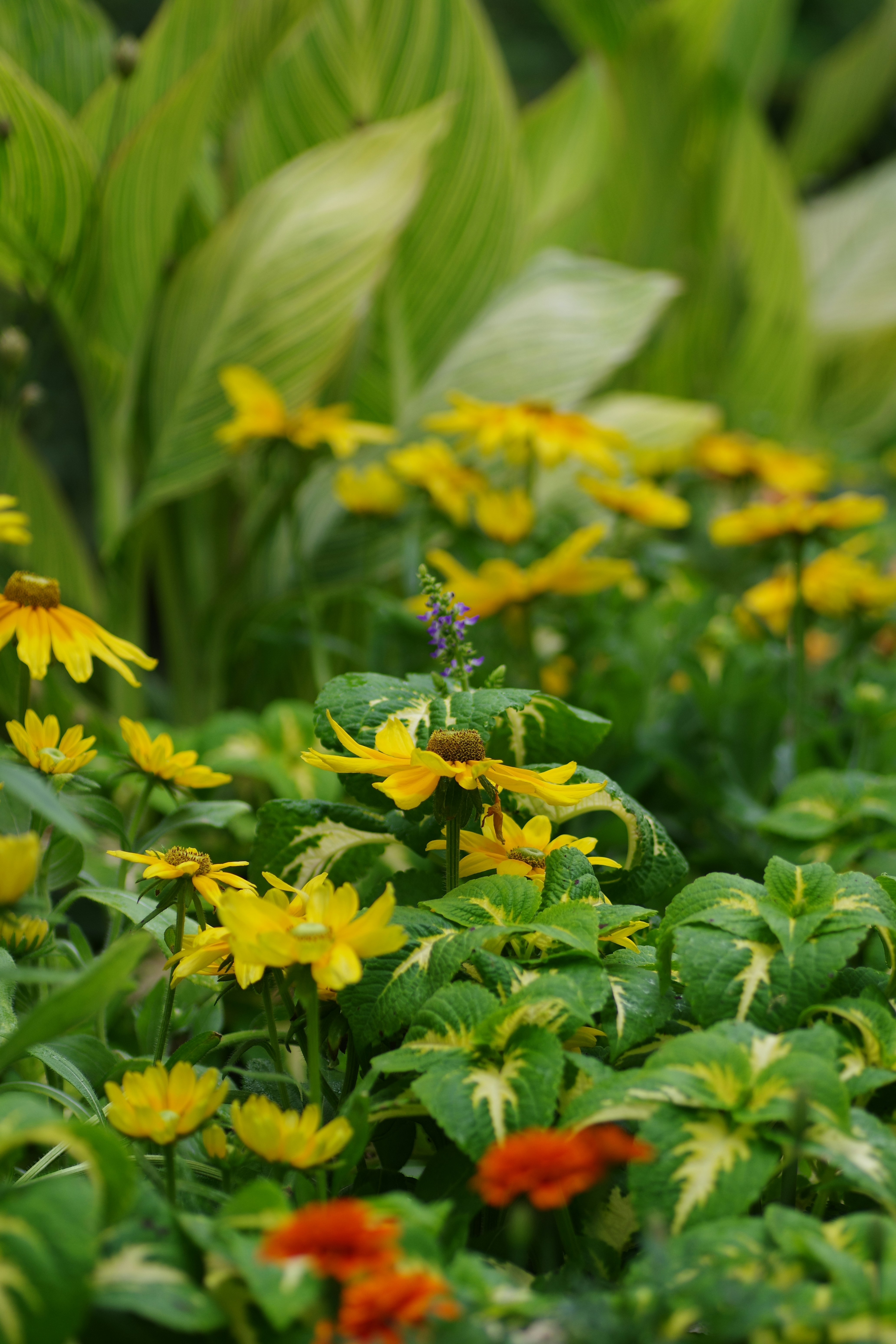 2.2 重量、体积与运输方式