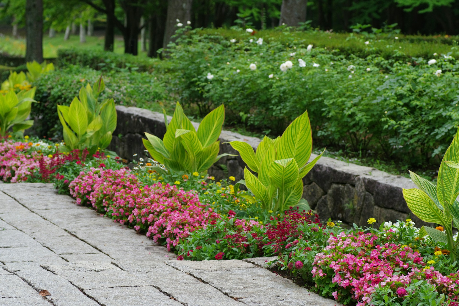 A garden with flowers and plants in the middle of it