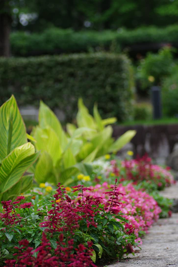 A garden filled with lots of colorful flowers