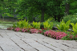 A brick walkway with flowers and trees in the background