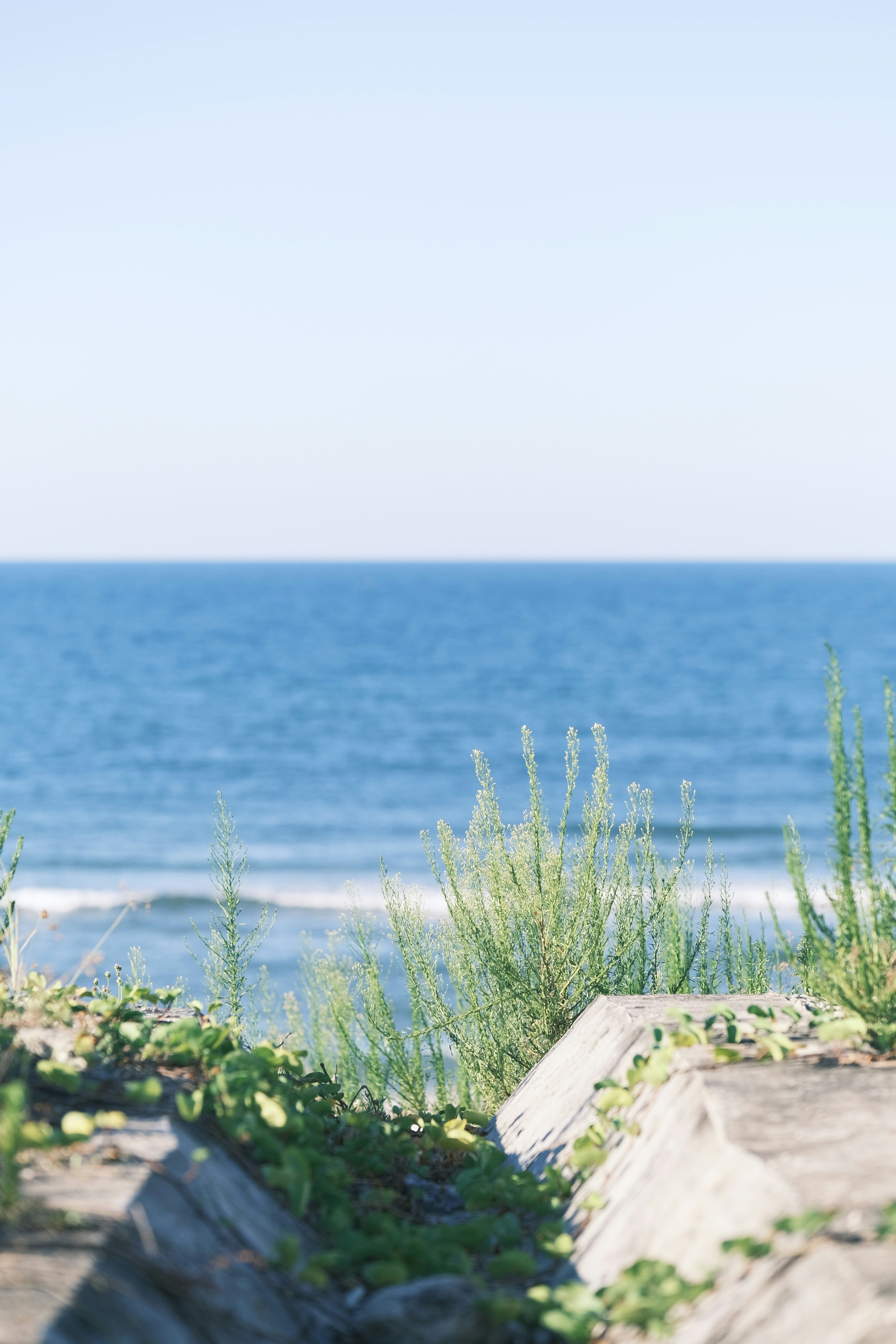 Photo by tutrananh109