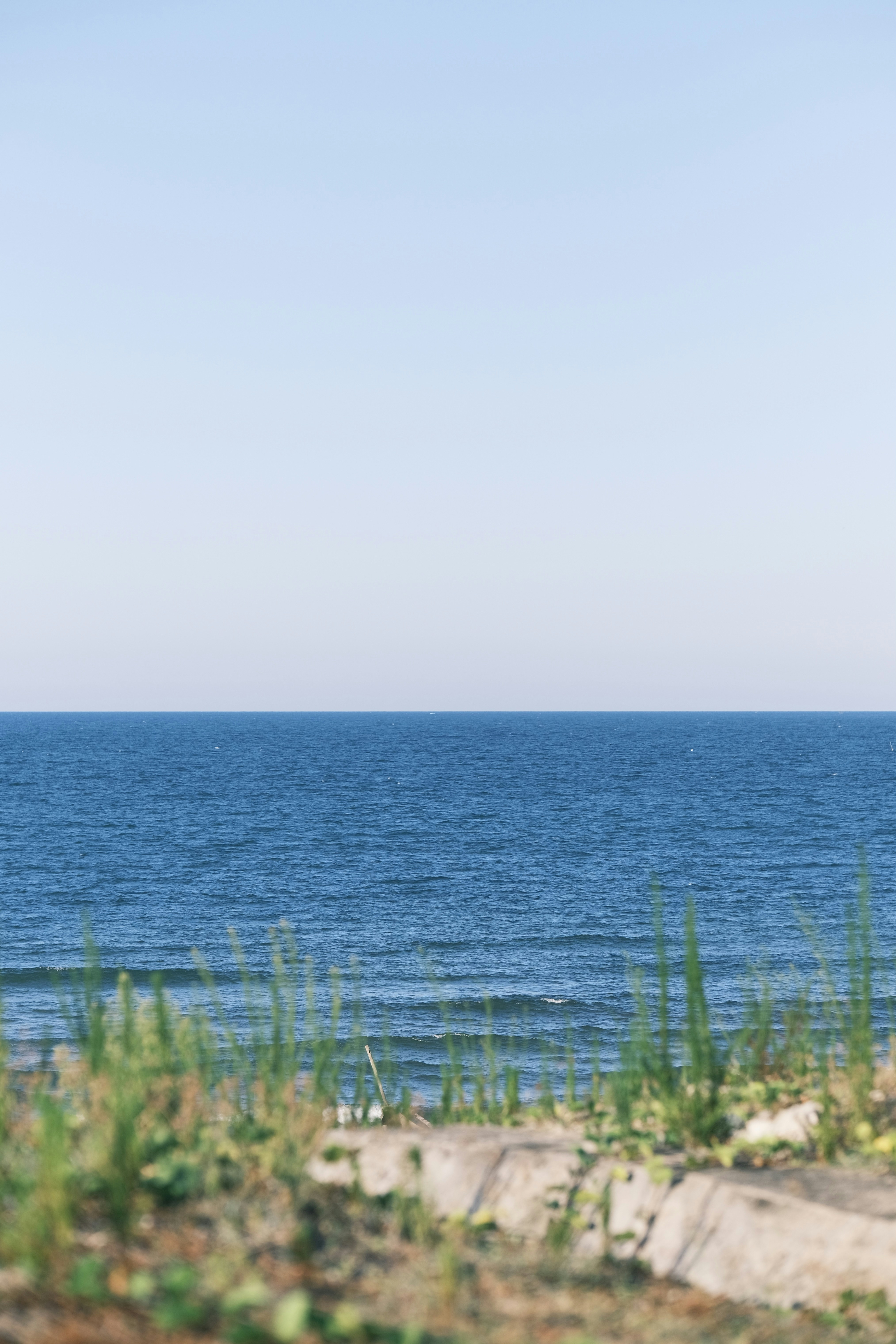 Photo by tutrananh109