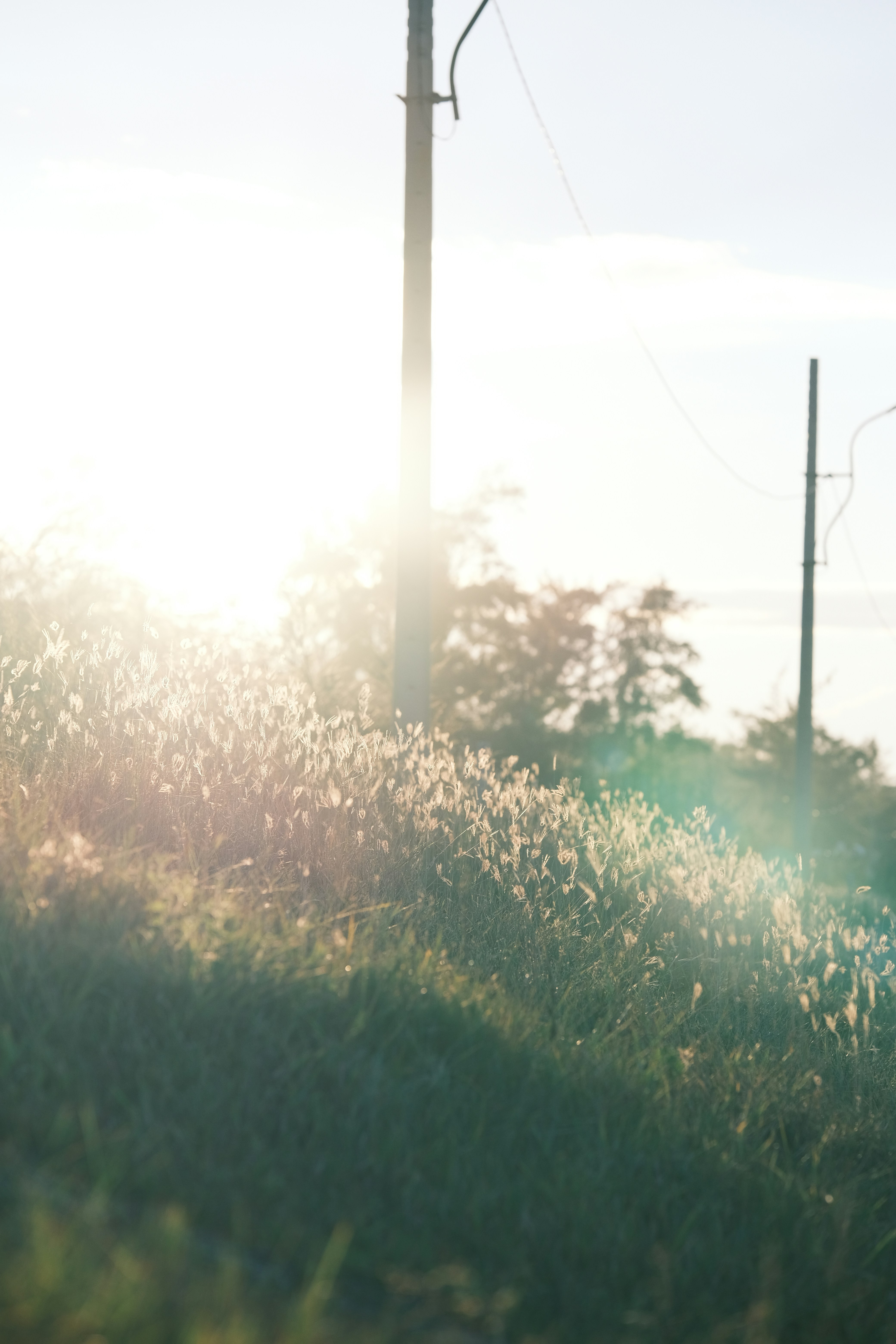 Photo by tutrananh109