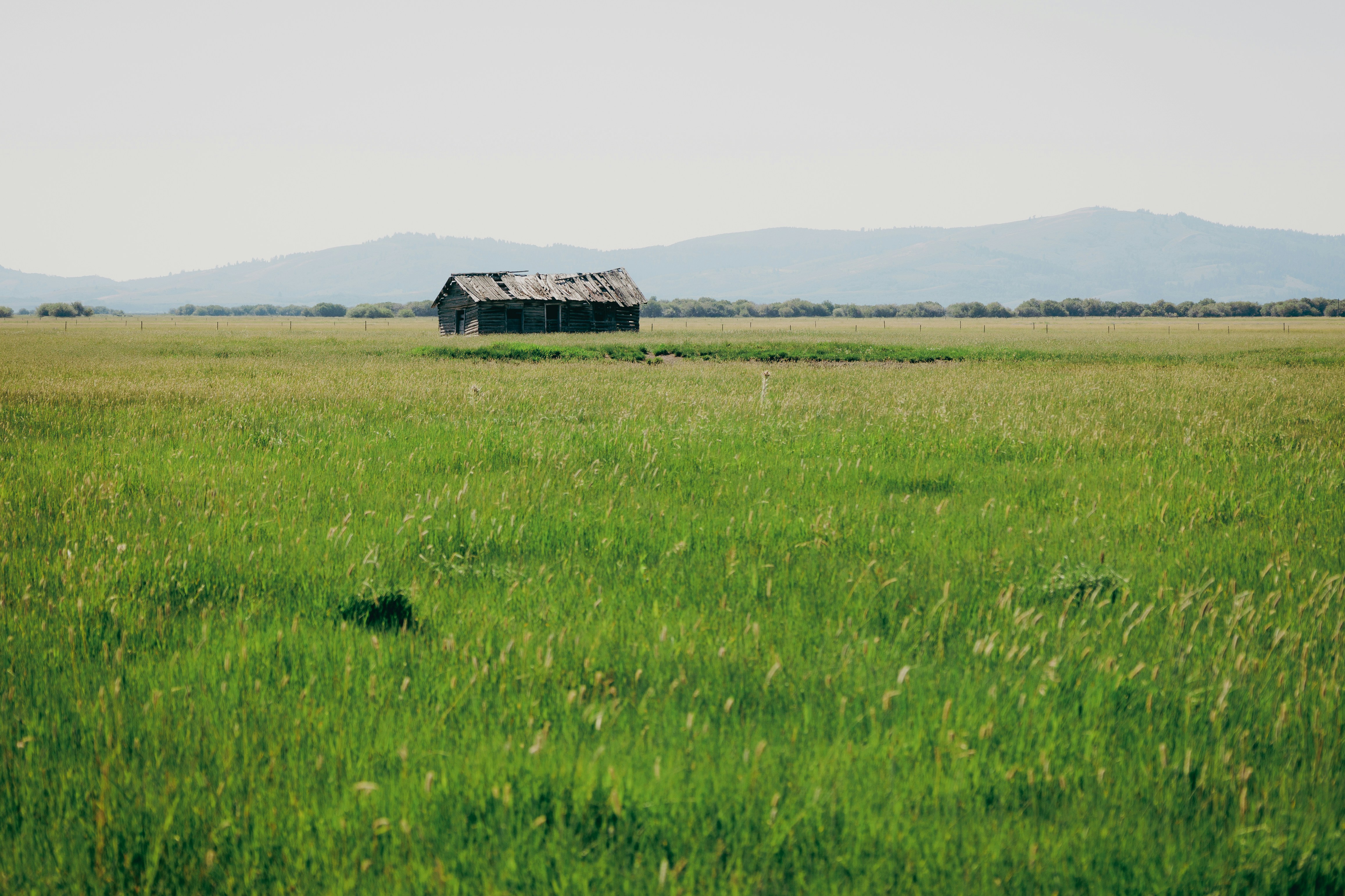 A field with a barn and mountains in the background
