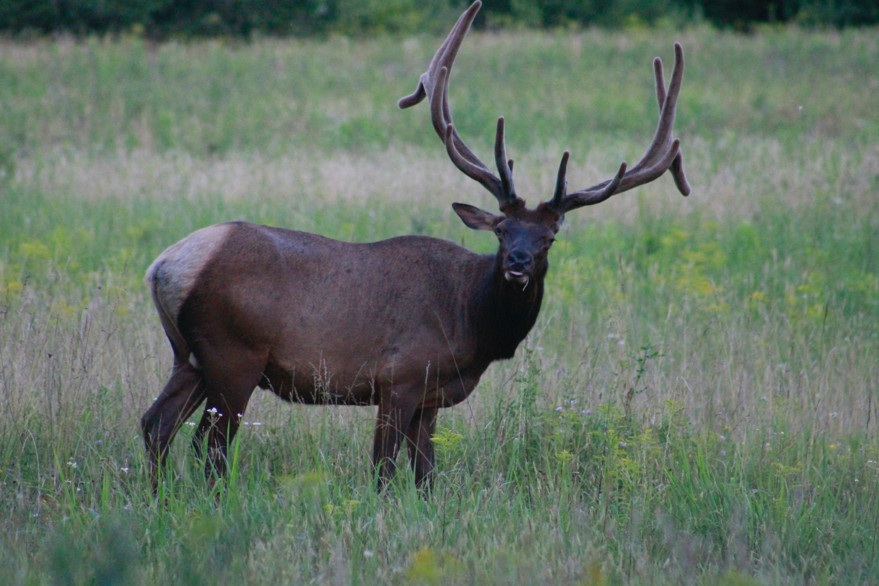 Photo by lisa_duqlaw