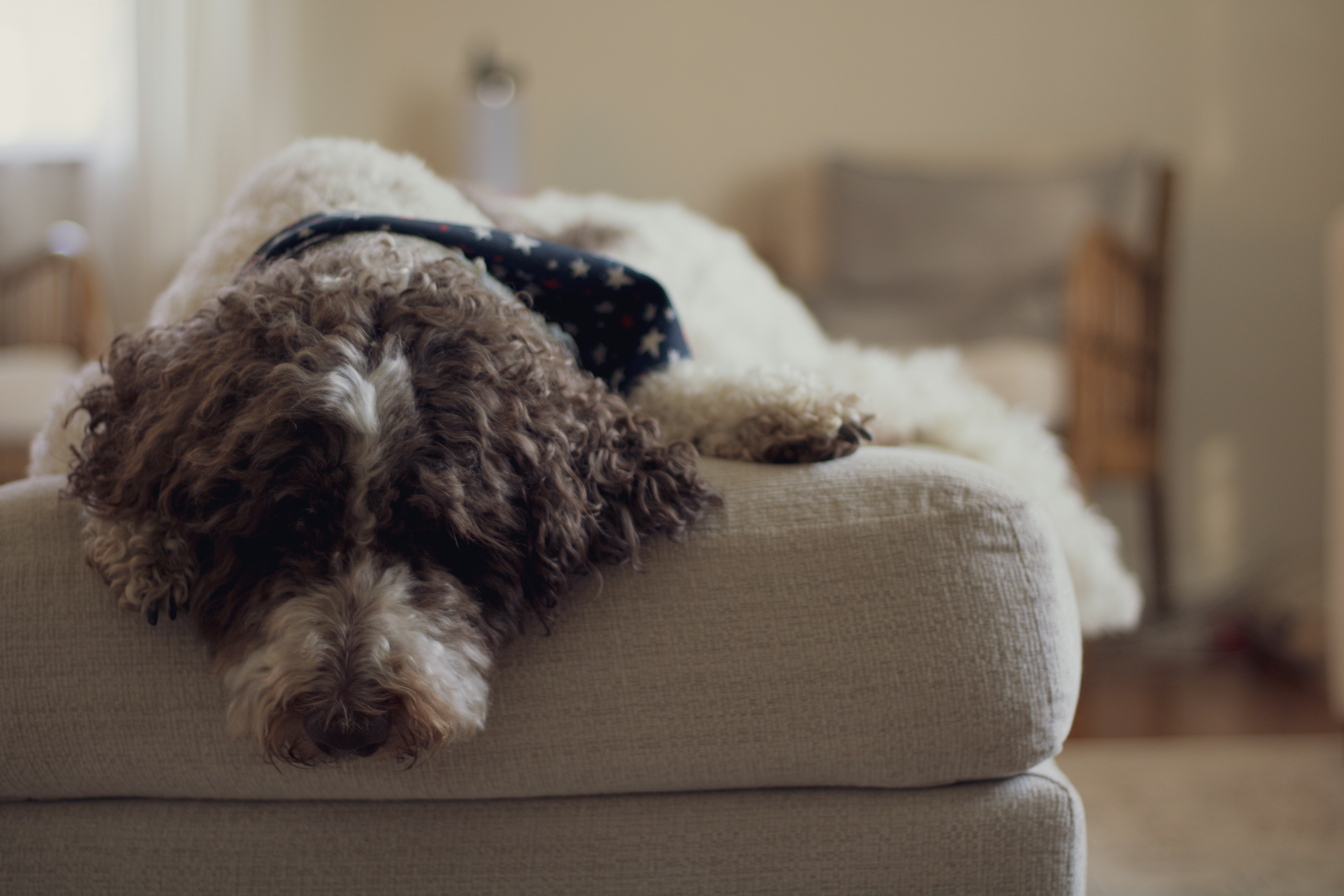 Respiratory Clues in Calm Observation