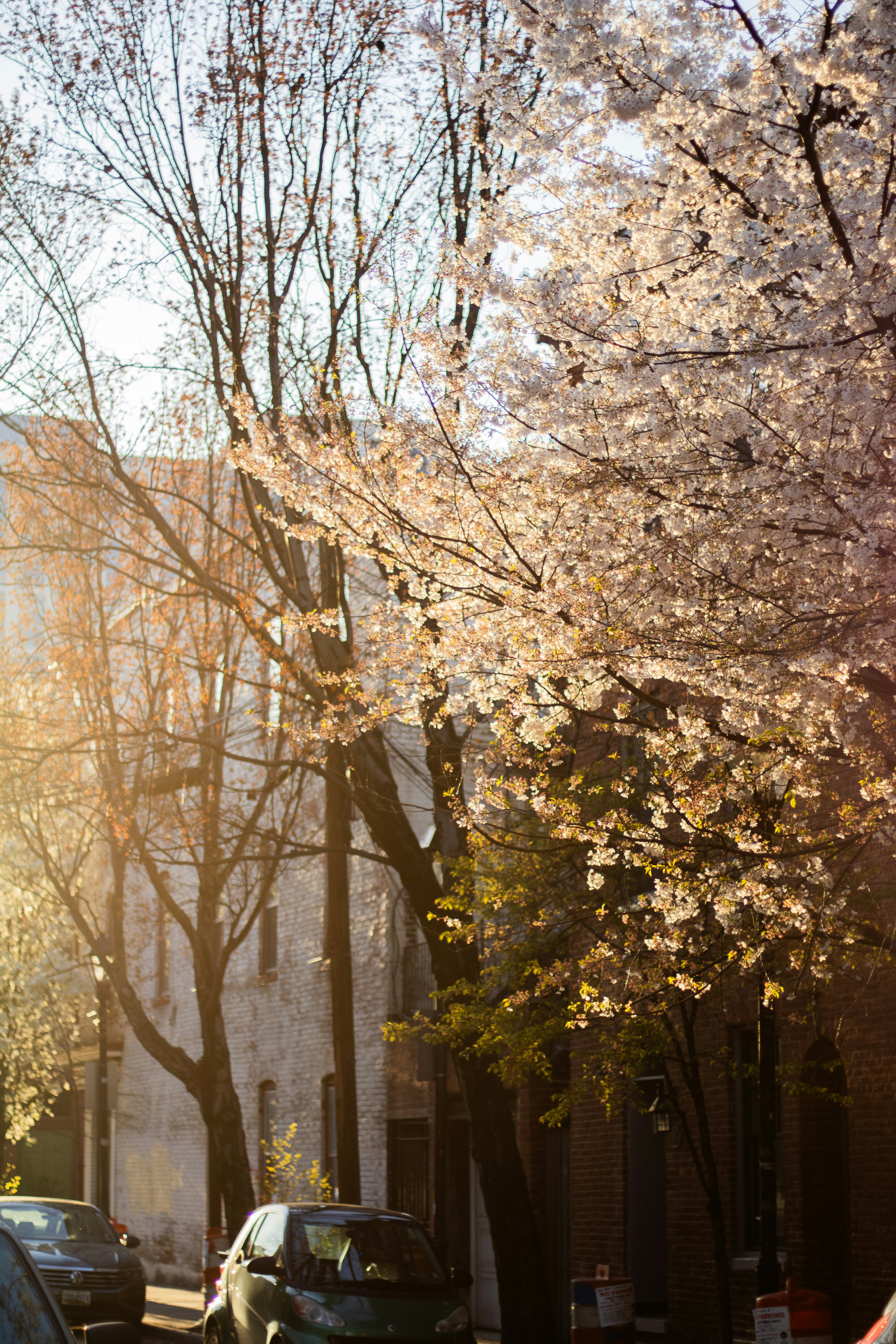 Photo by stills_byliz