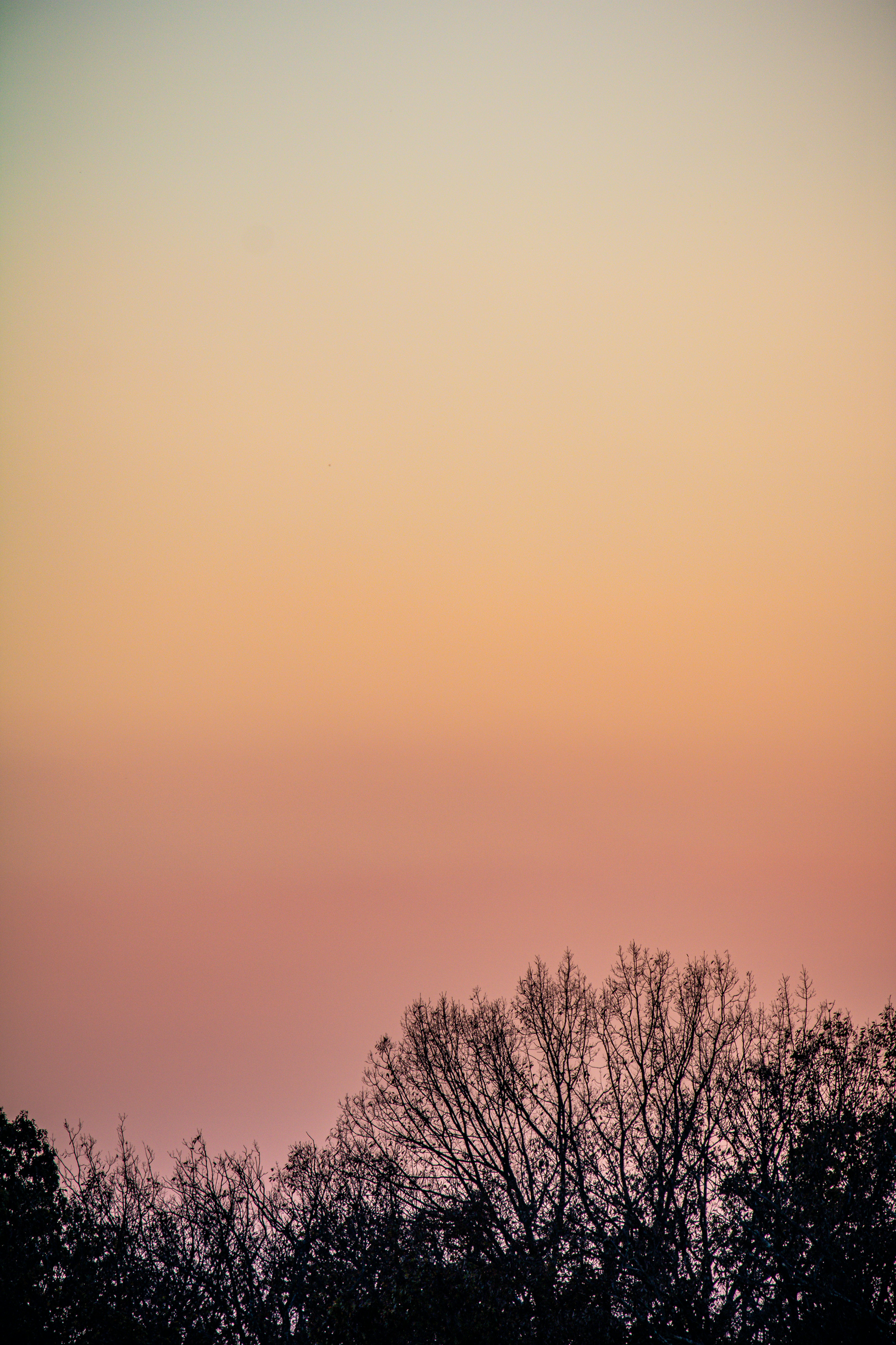 Photo by stills_byliz