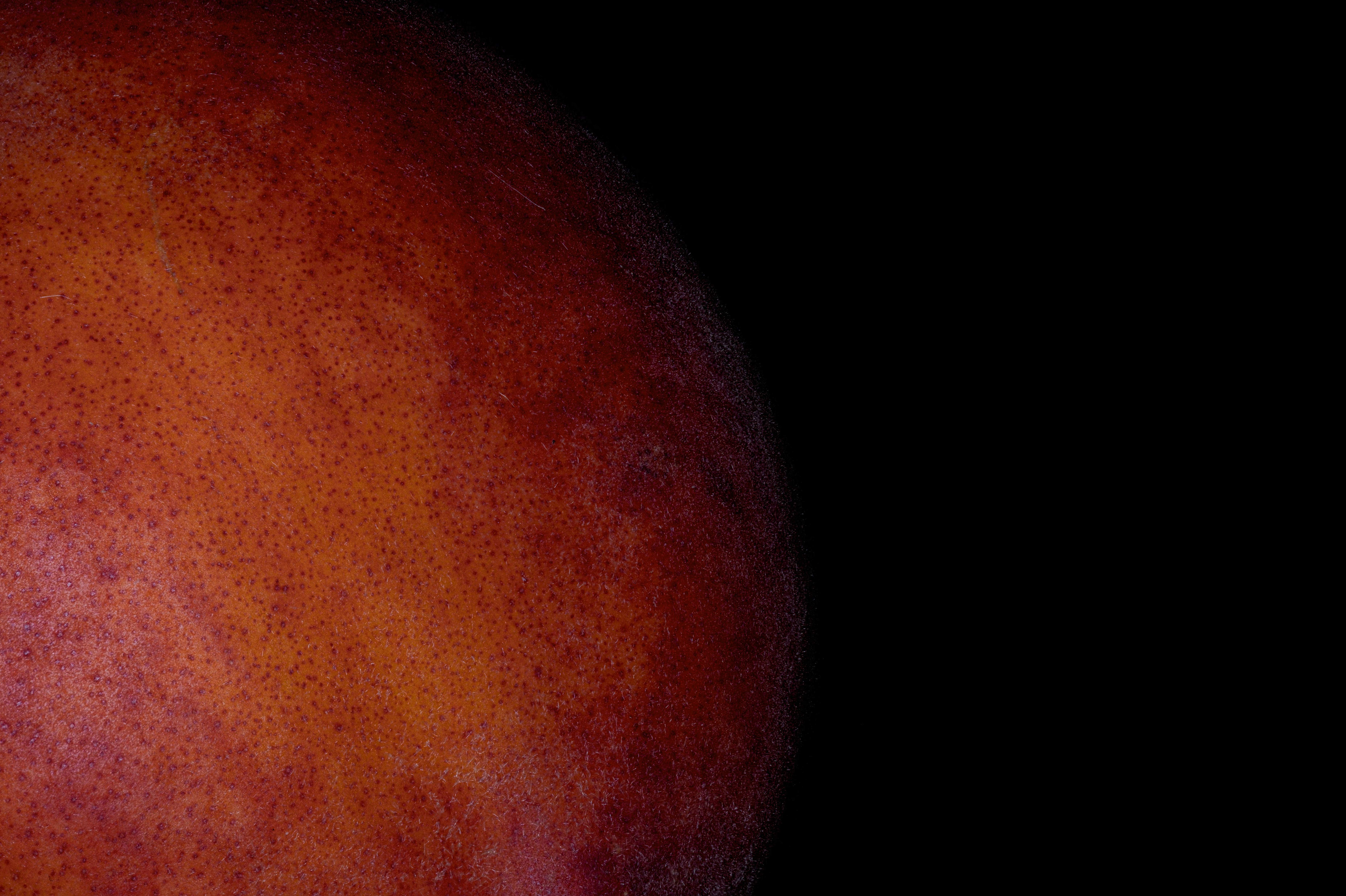 Photo by alexandredaoust