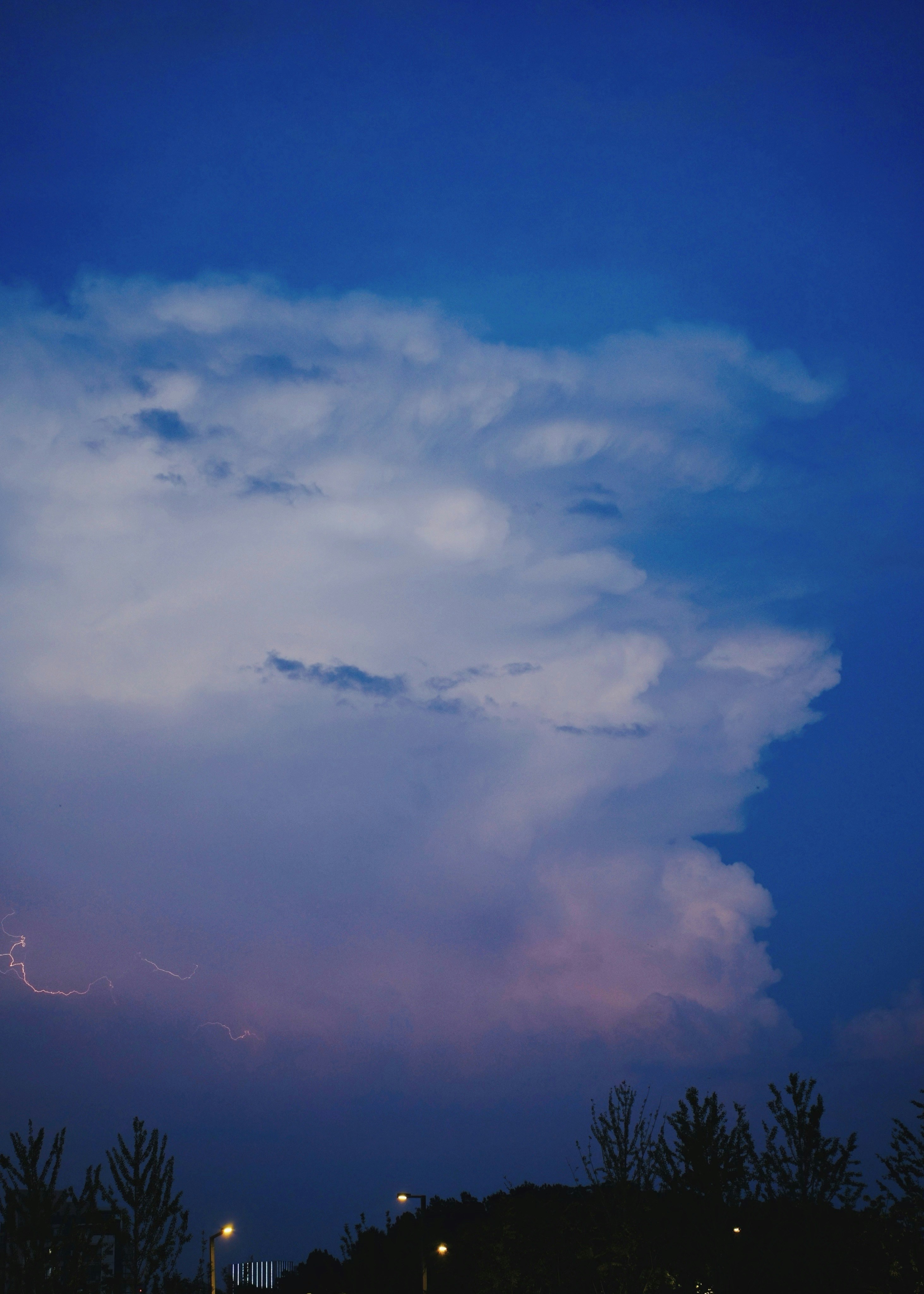 Photo by rebylulu