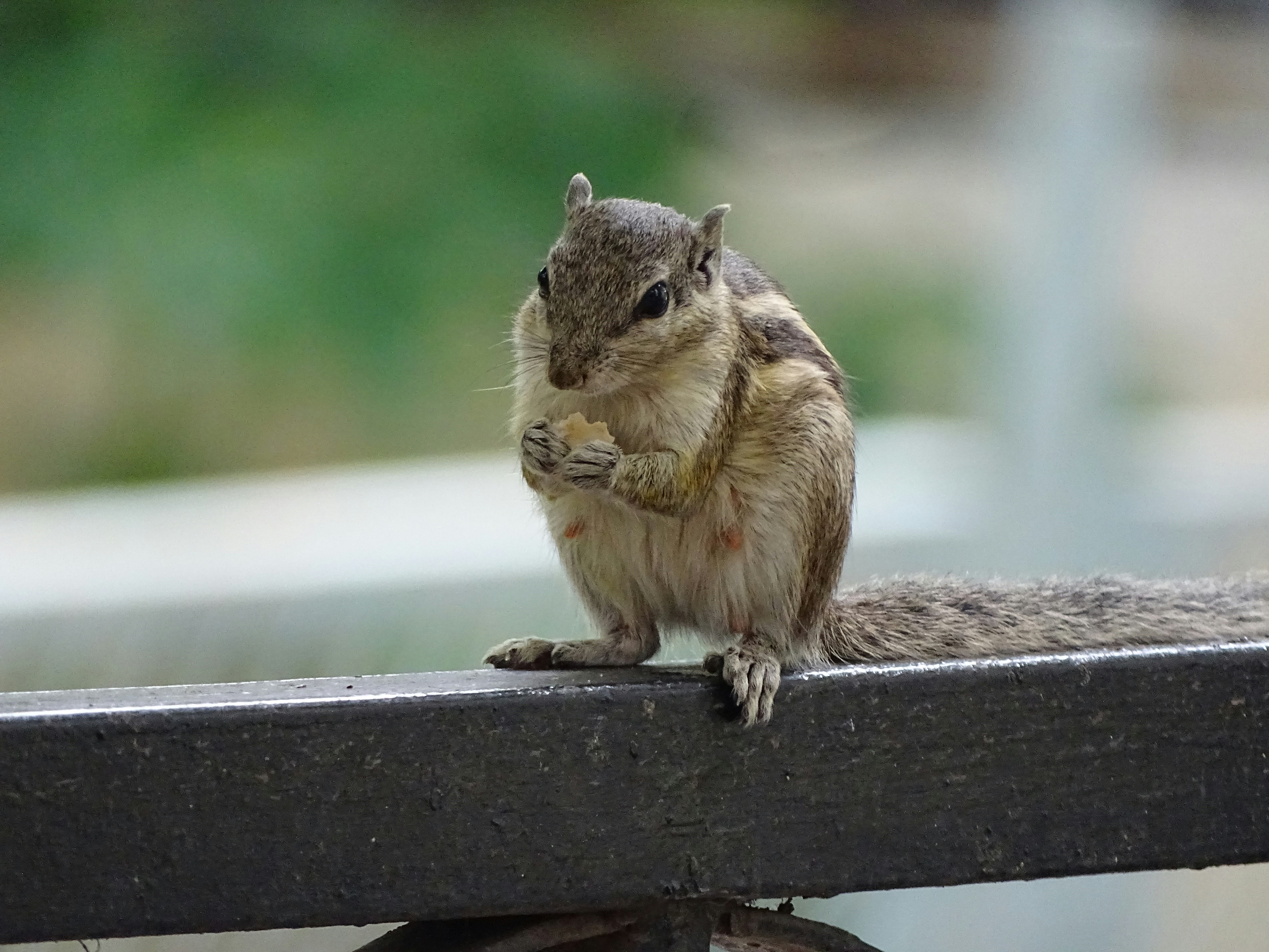 Photo by khushi_gandhi2605