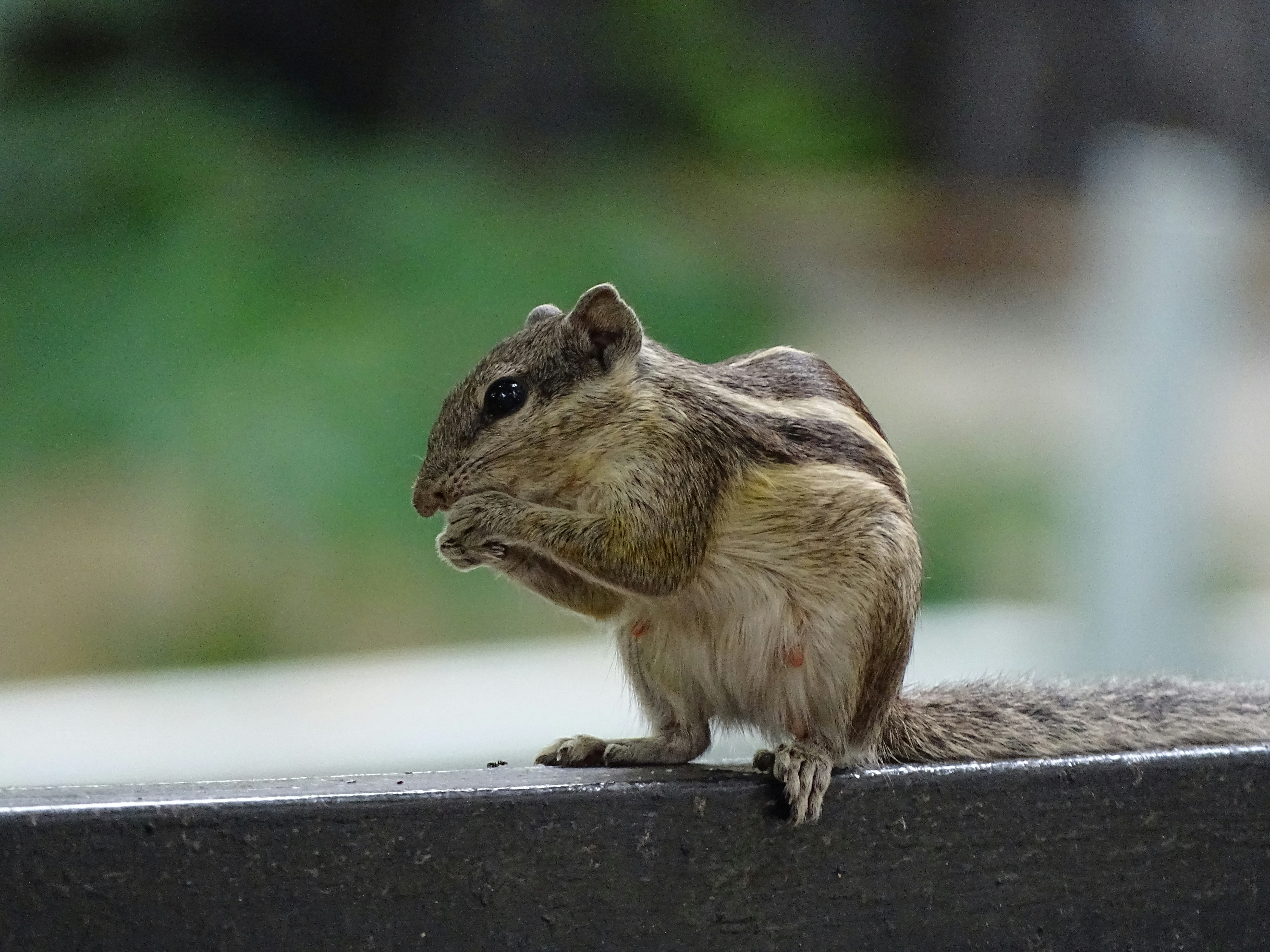 Photo by khushi_gandhi2605