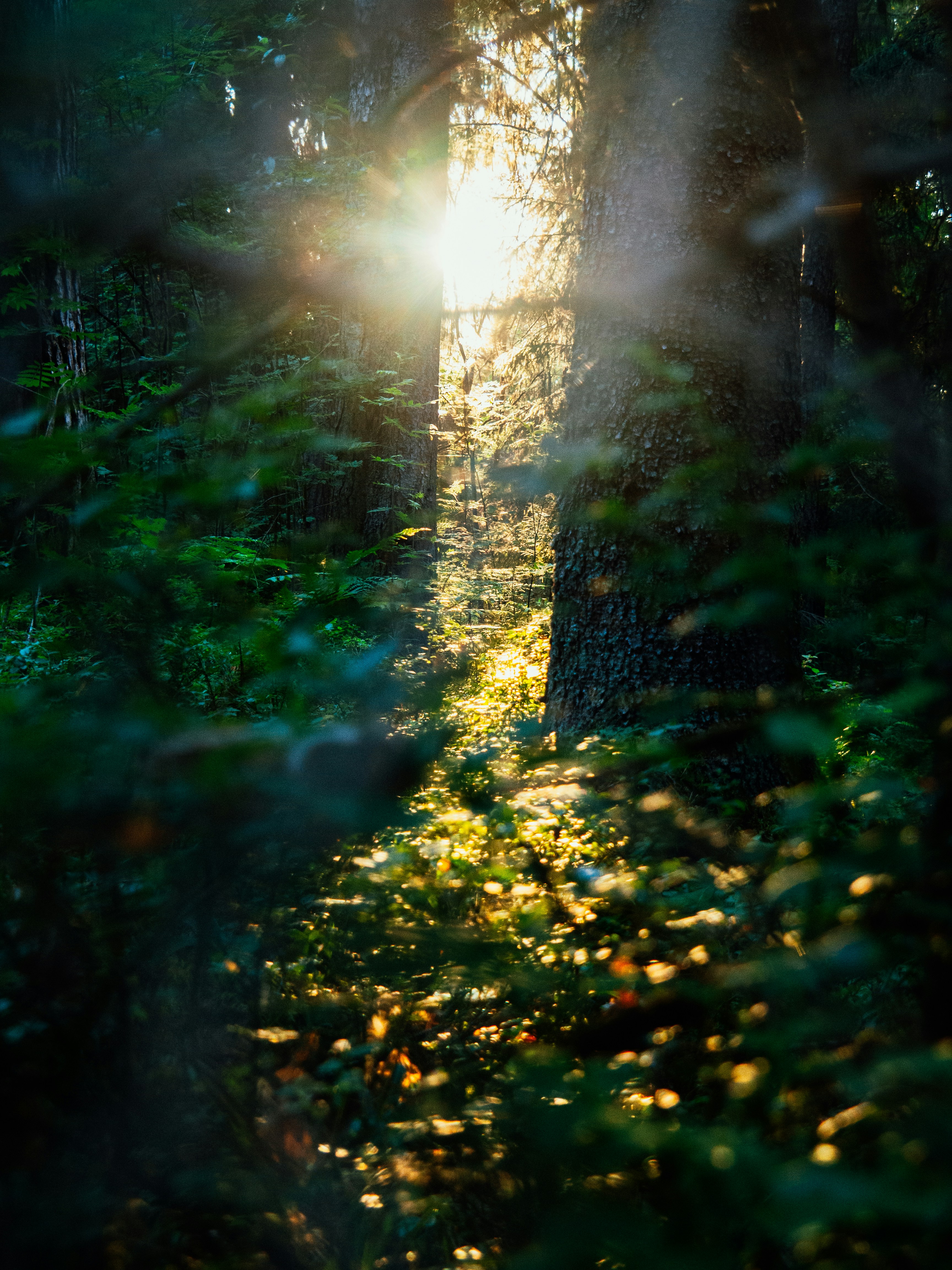 Photo by a_sobotyak
