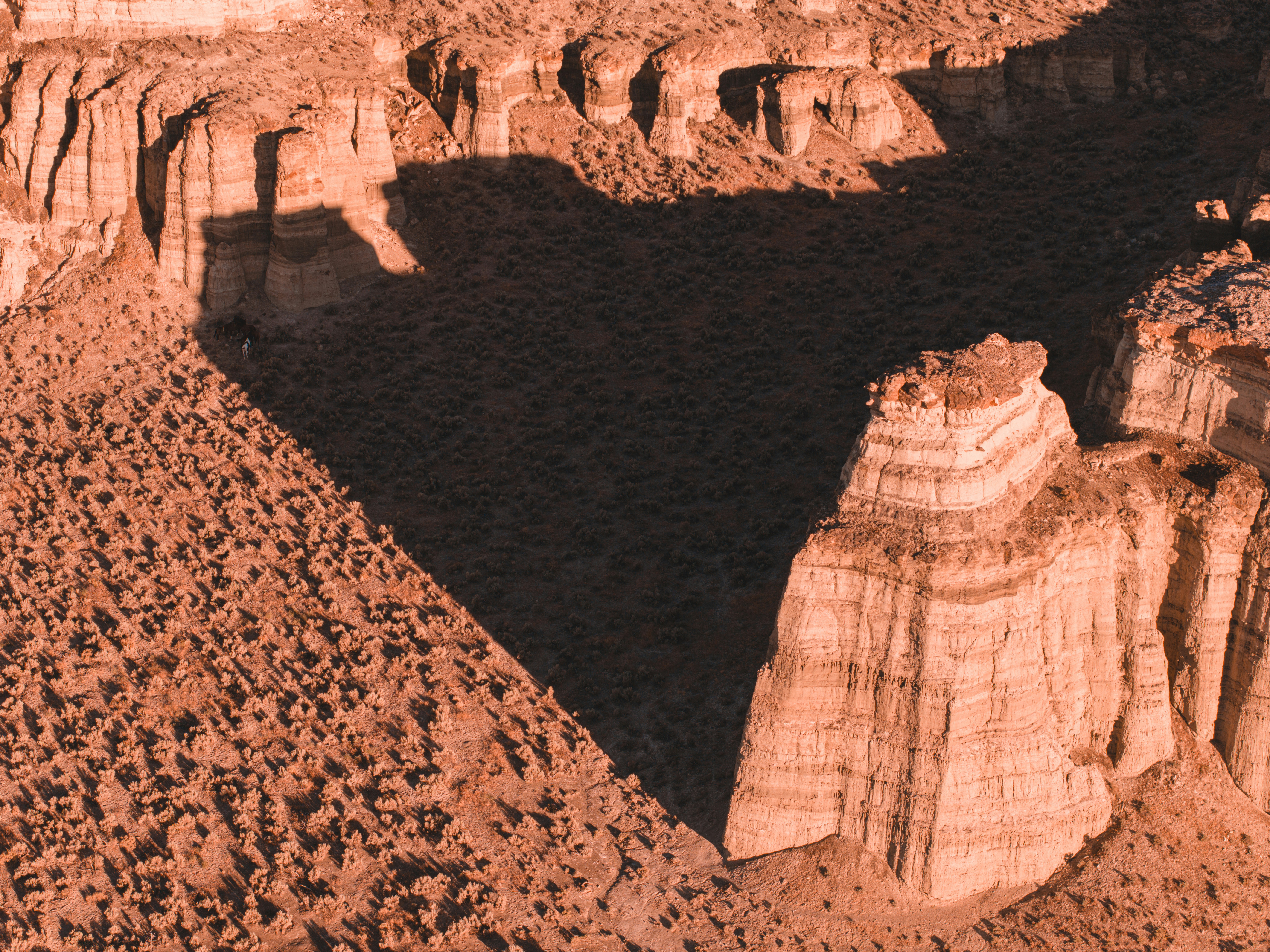 2024 파리올림픽 일정 정리