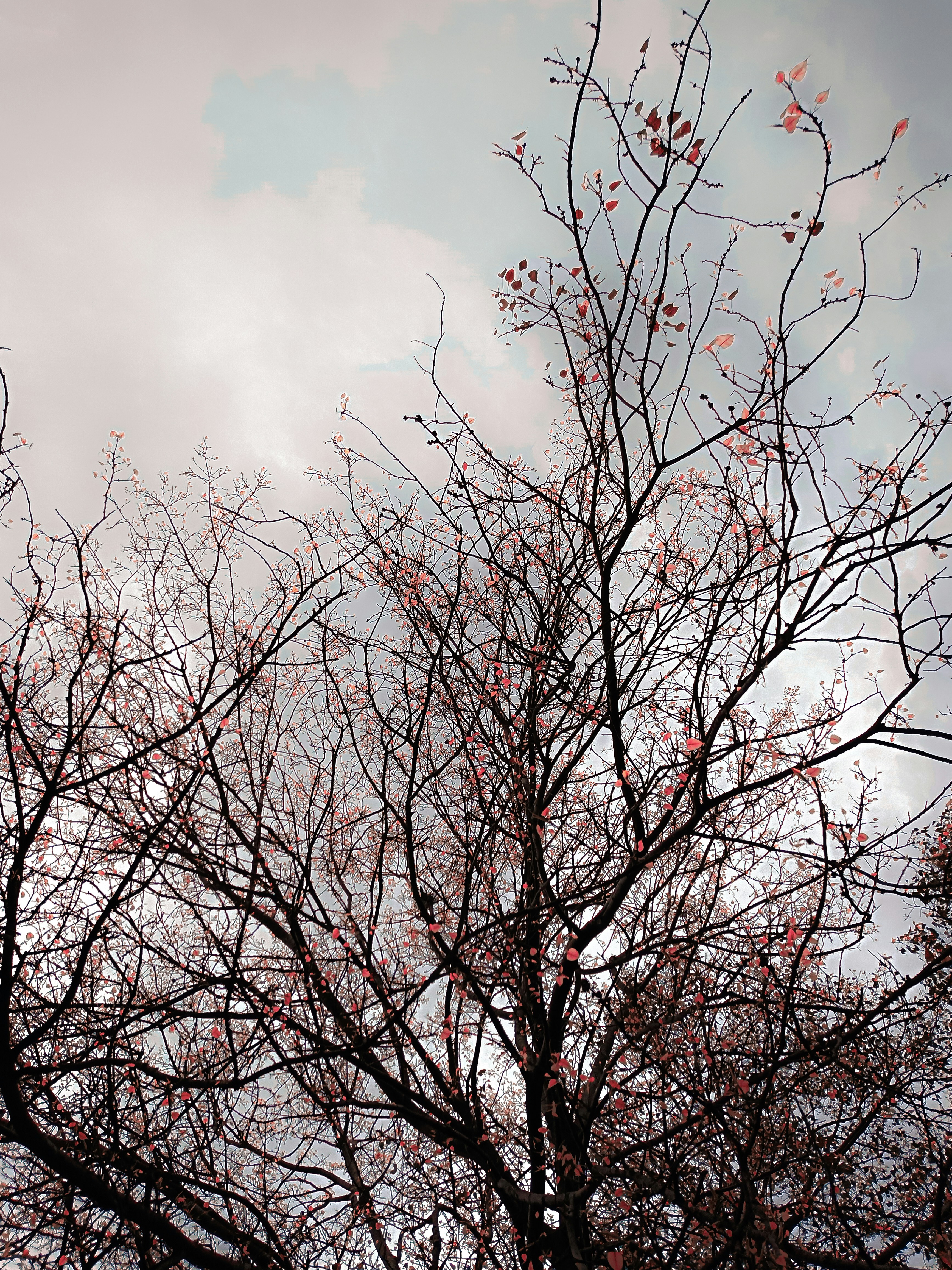 Photo by yadav_nilesh004