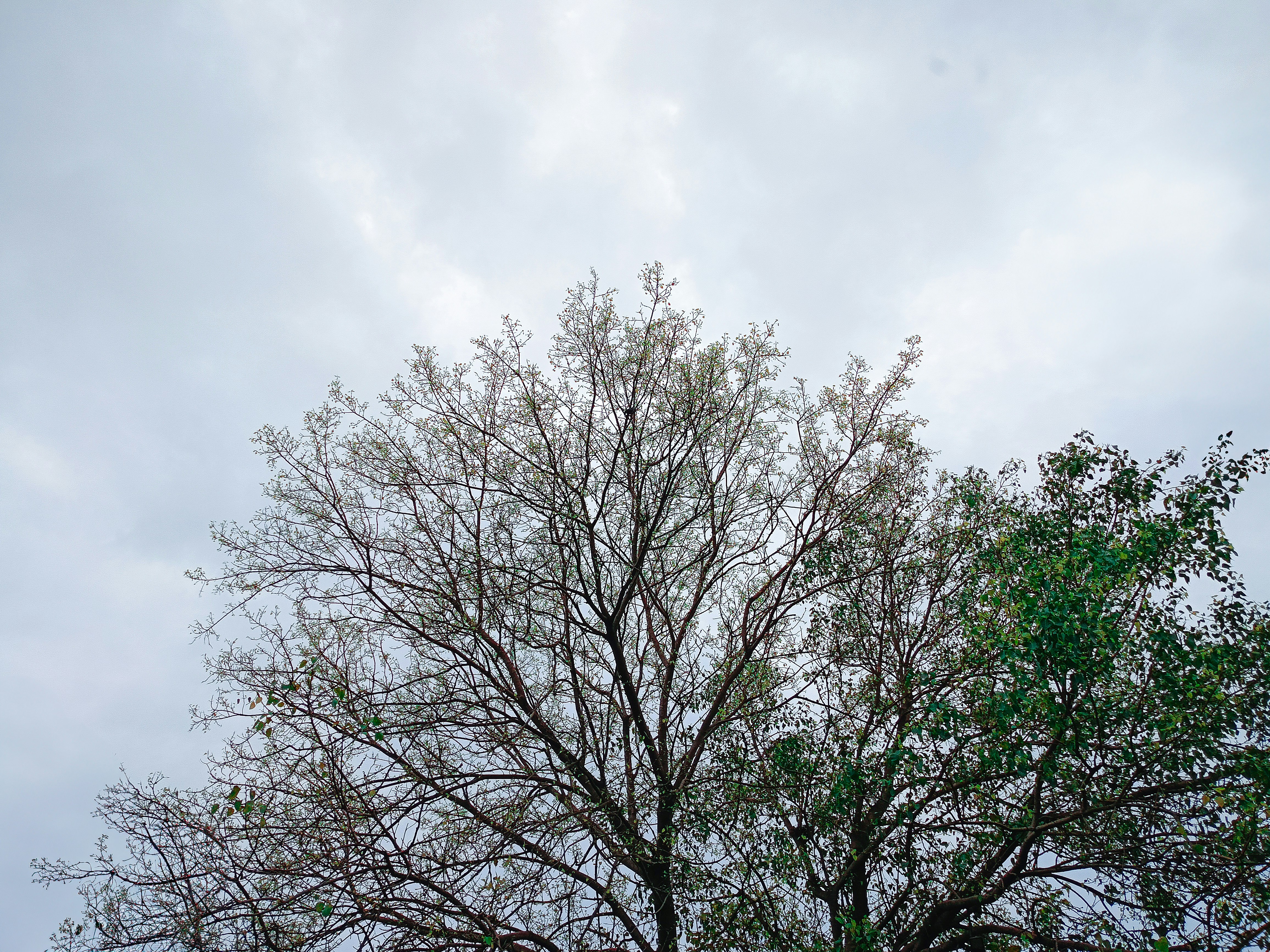 Photo by yadav_nilesh004