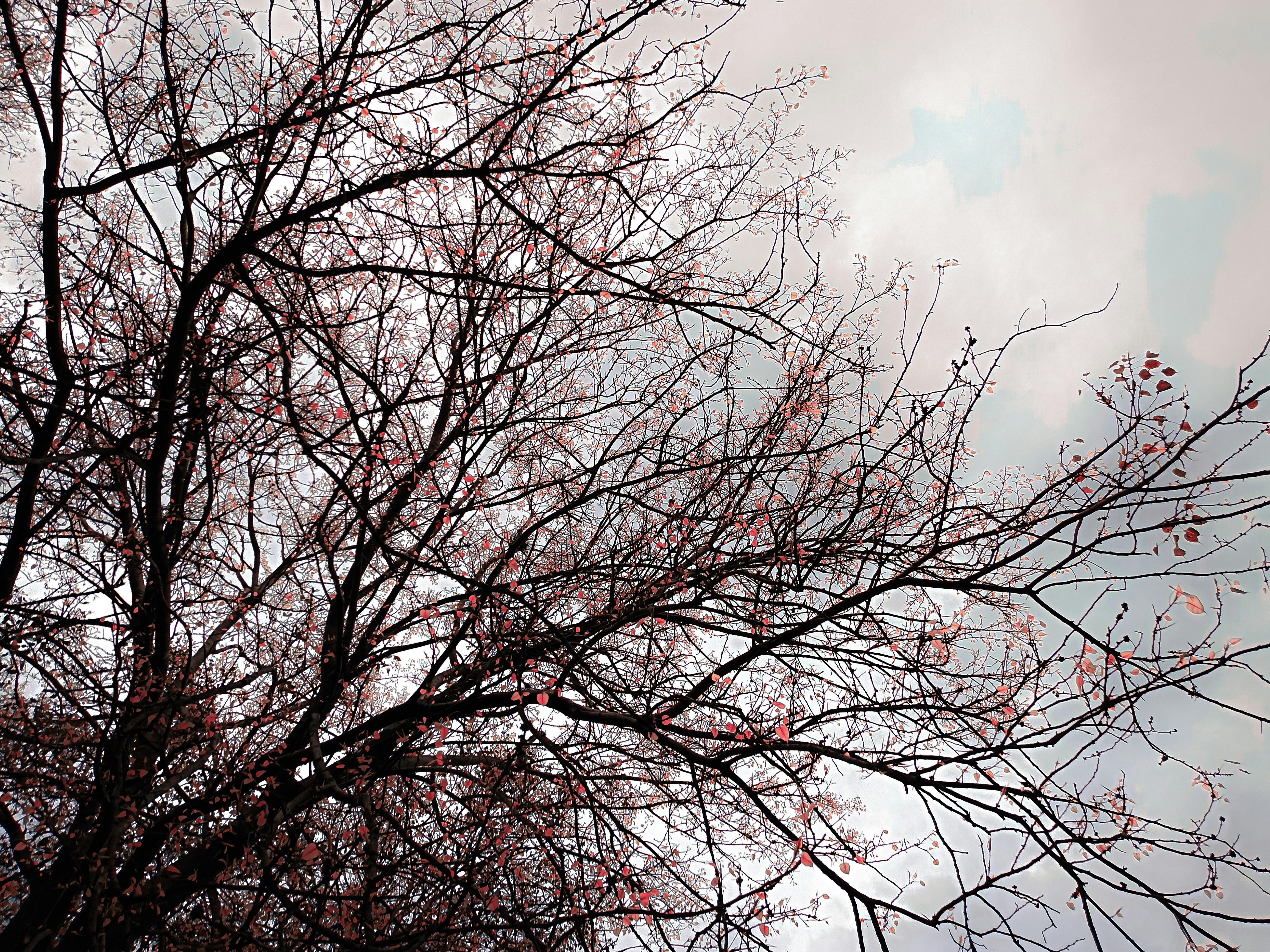 Photo by yadav_nilesh004