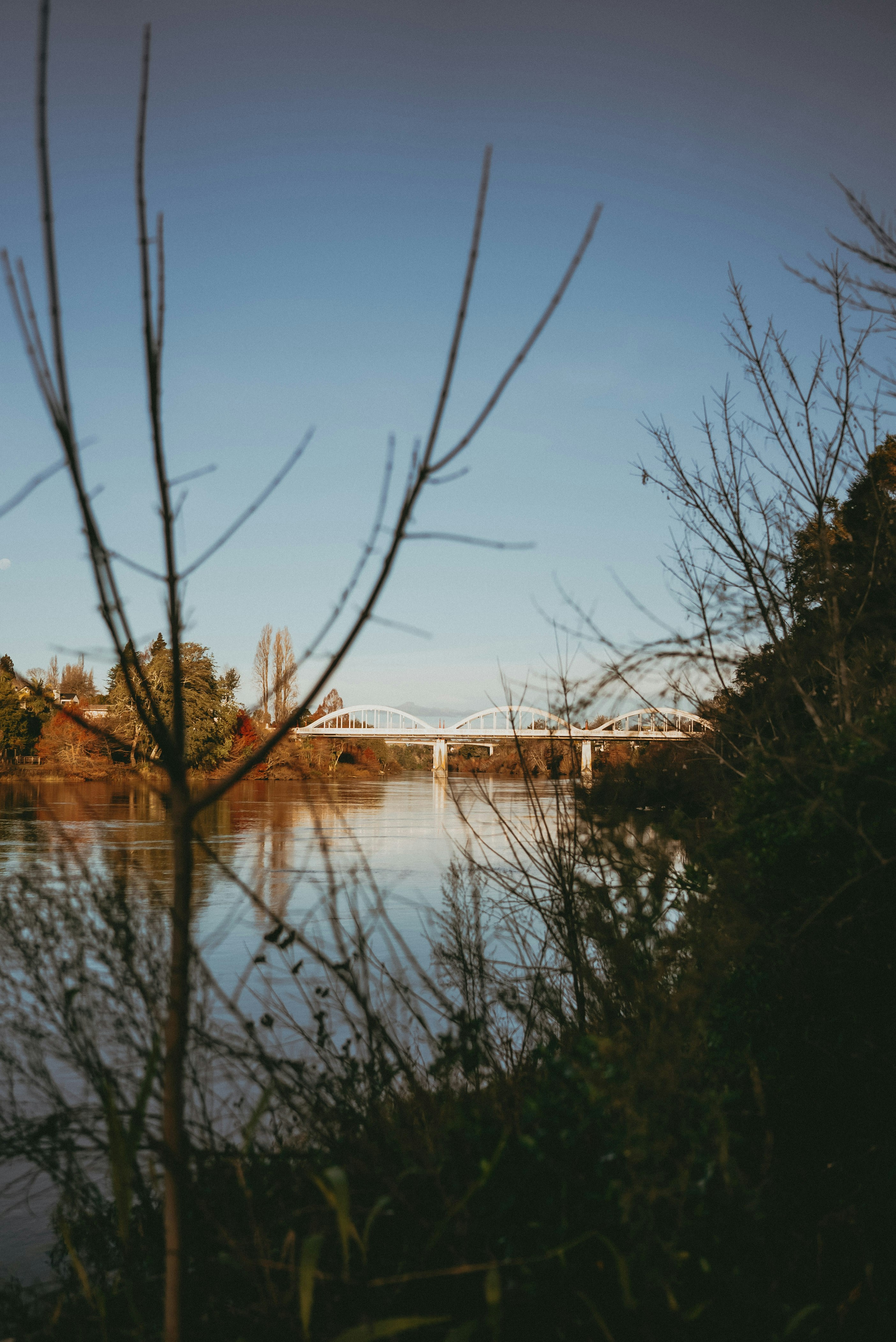 Photo by createinme_nz