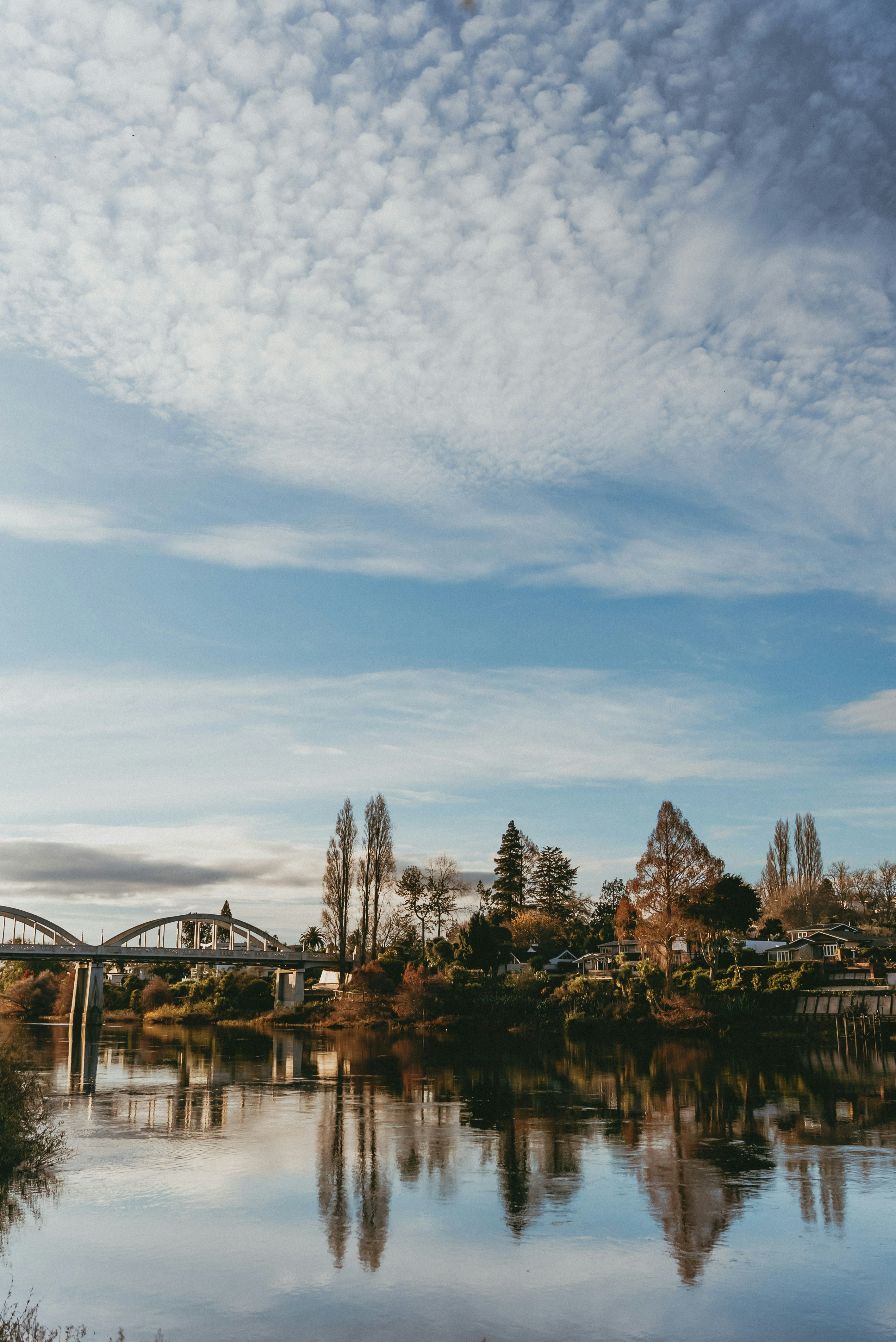 Photo by createinme_nz