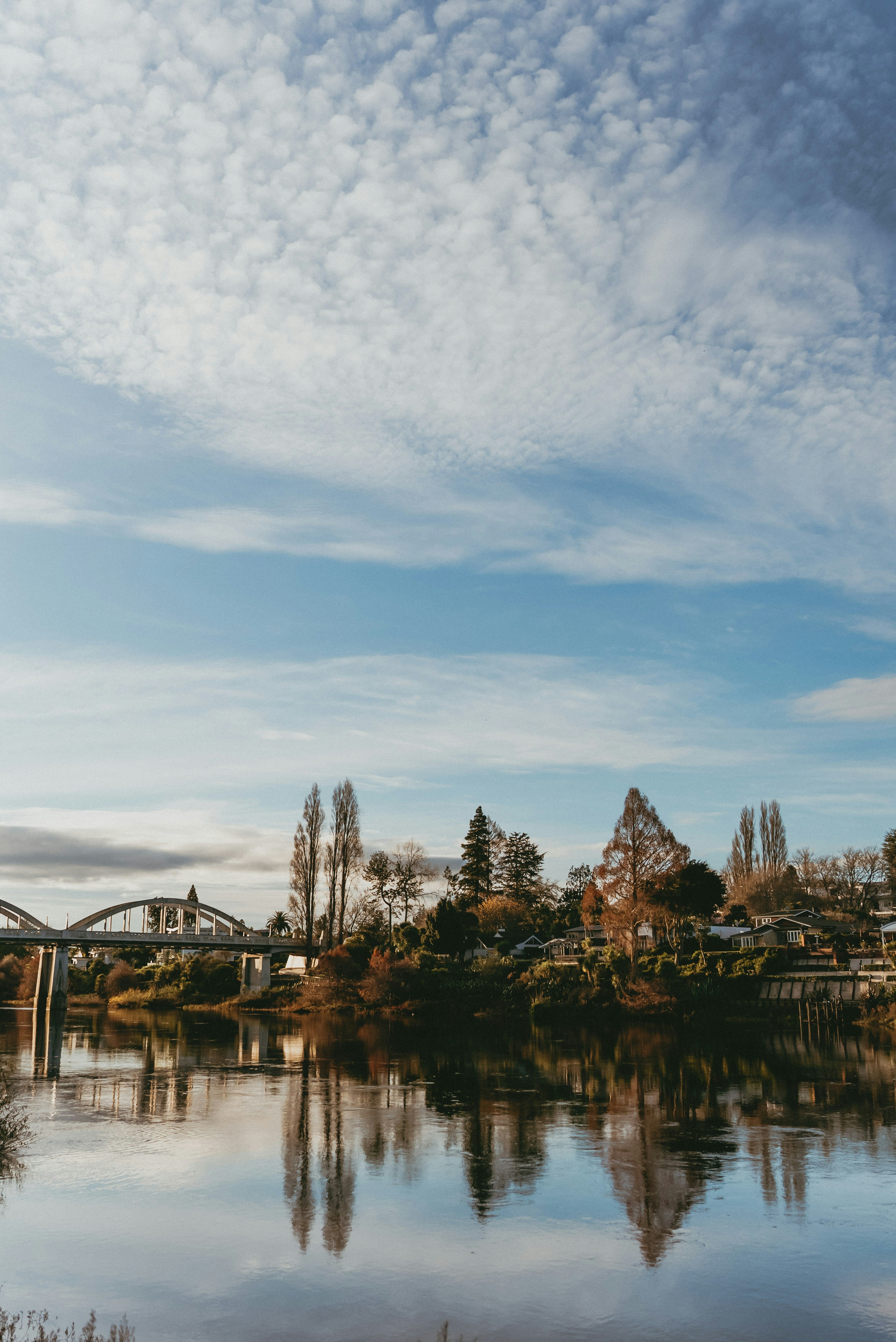 Photo by createinme_nz