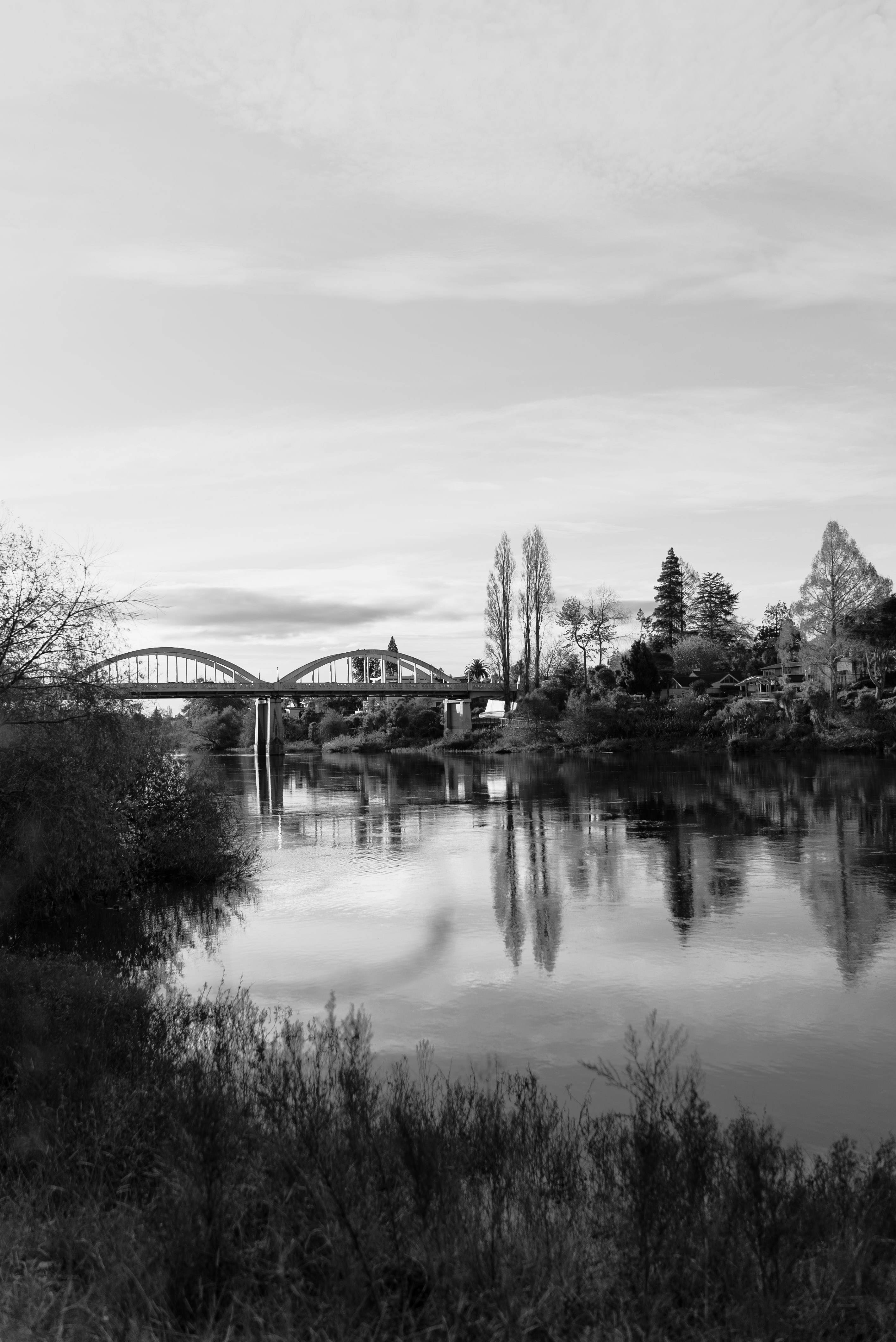 Photo by createinme_nz