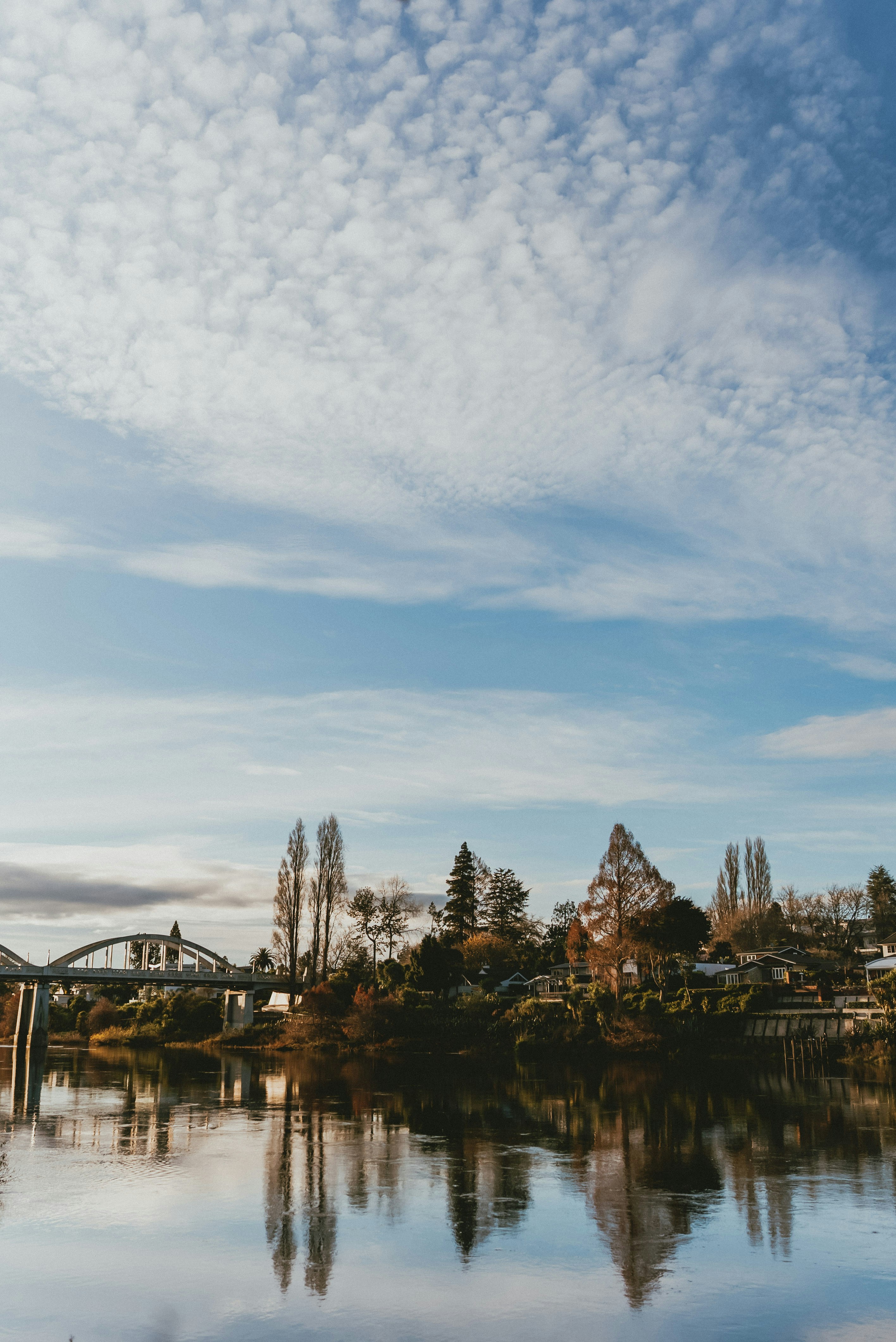 Photo by createinme_nz