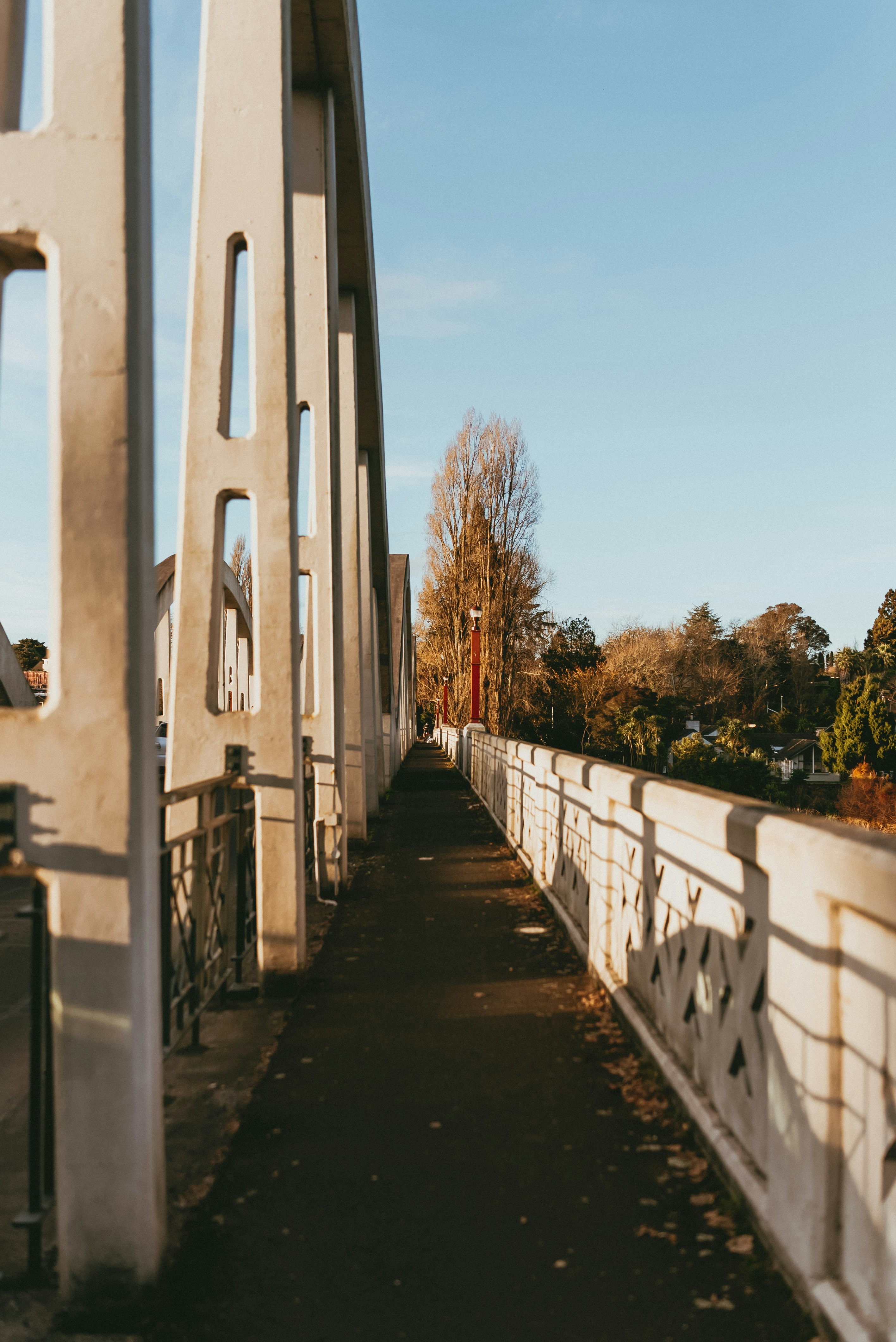 Photo by createinme_nz