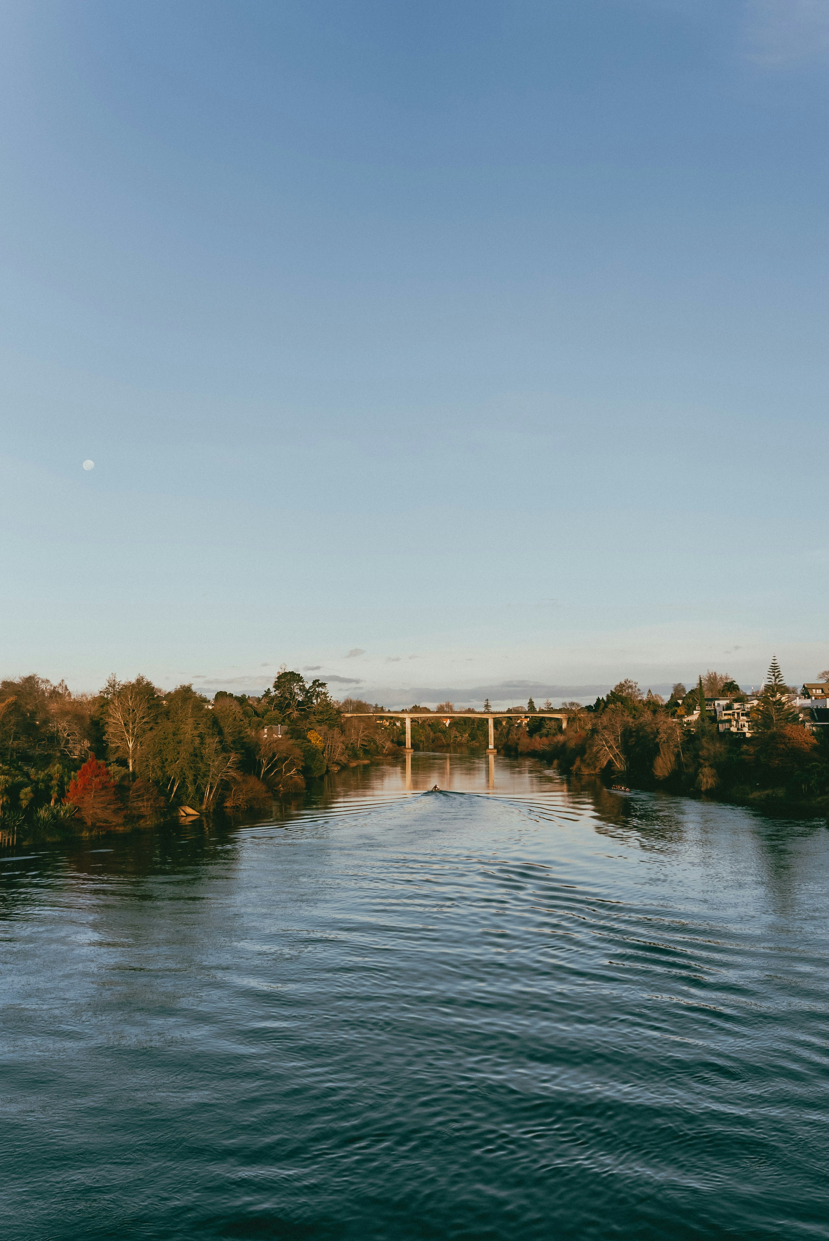 Photo by createinme_nz