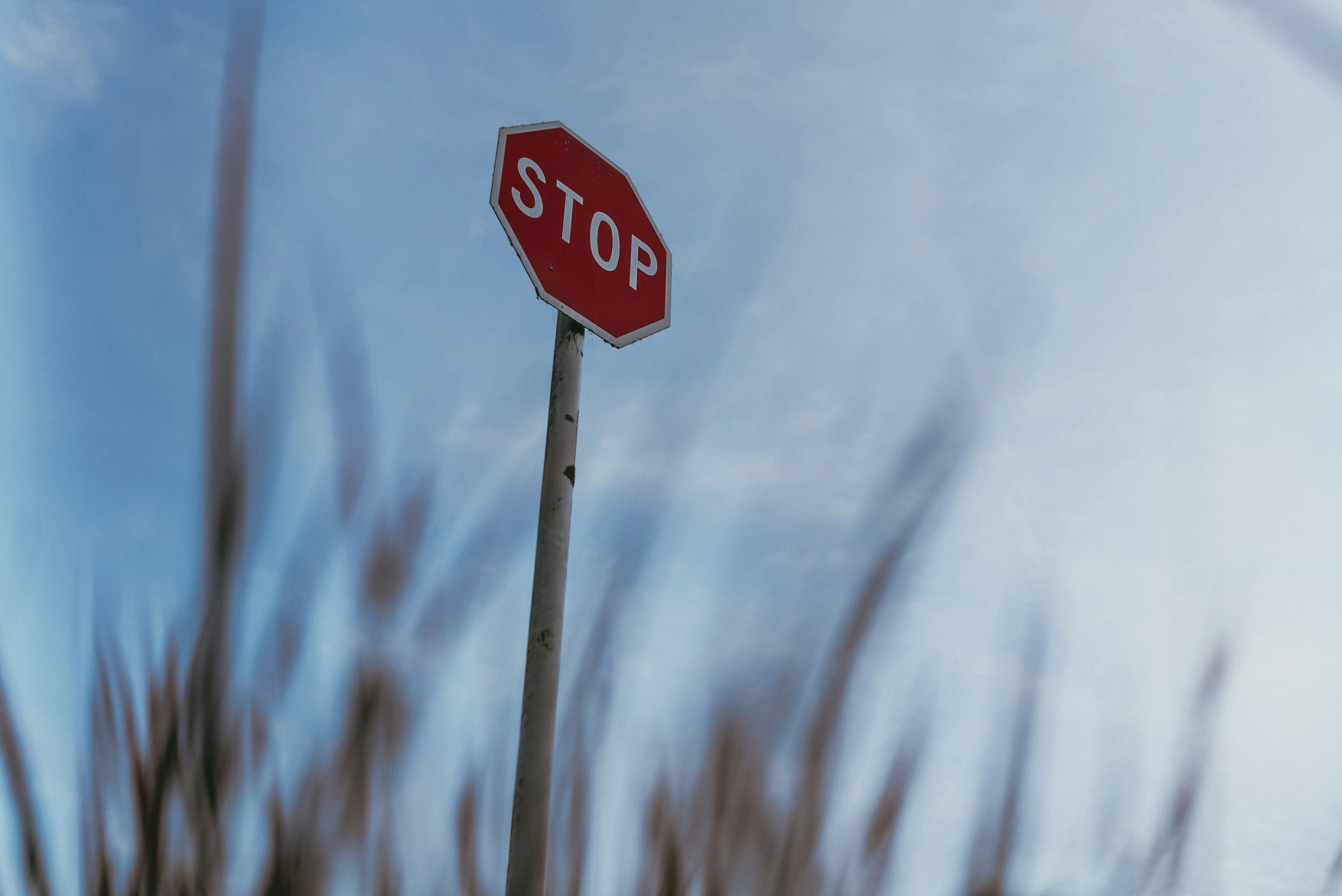 Photo by createinme_nz