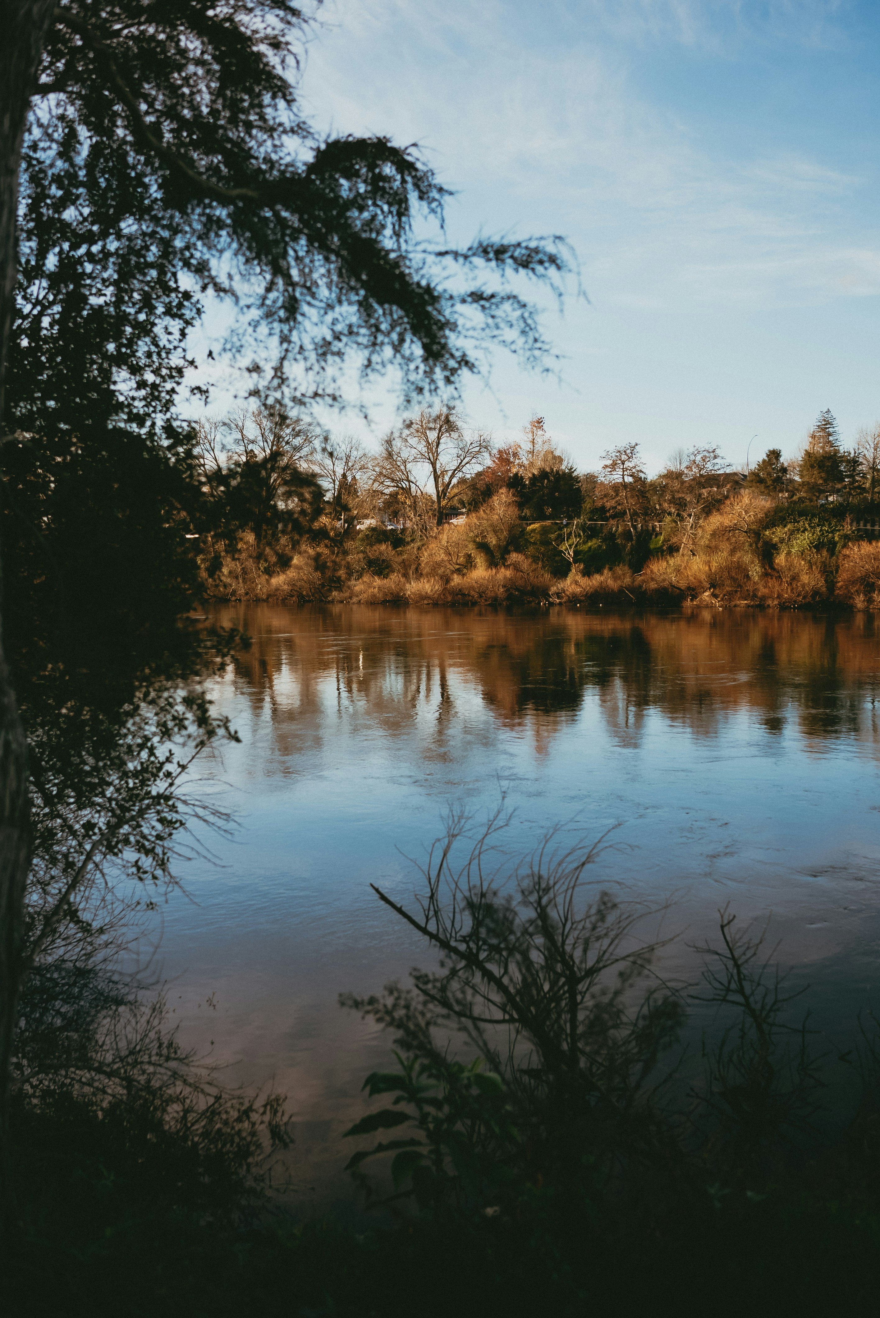 Photo by createinme_nz