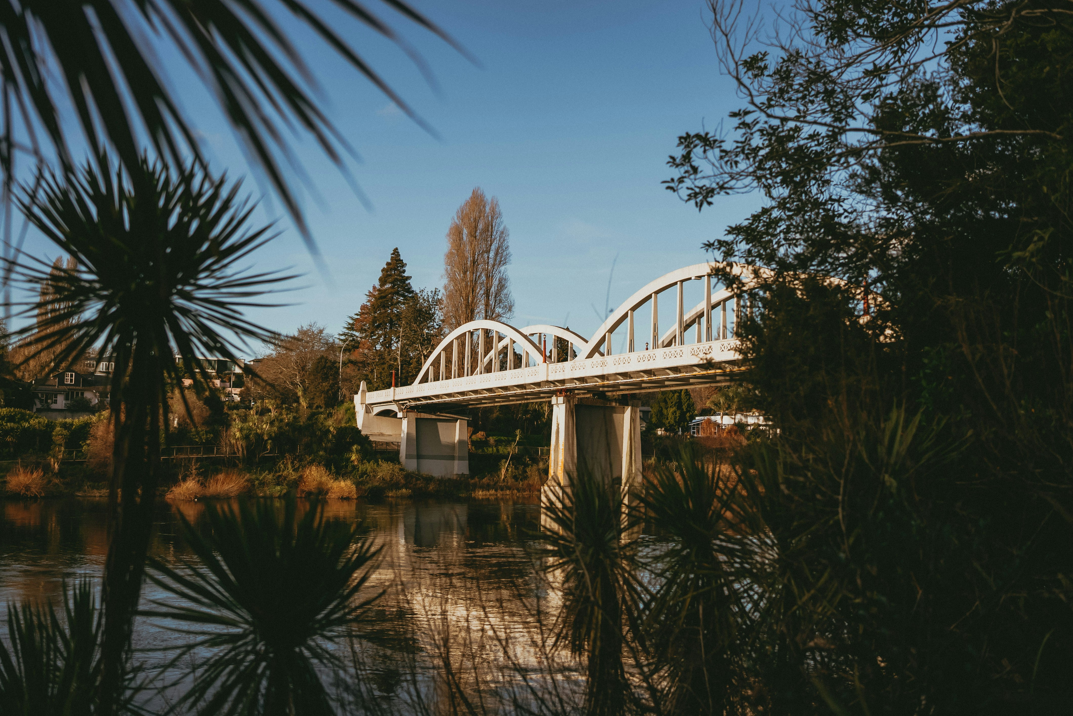 Photo by createinme_nz