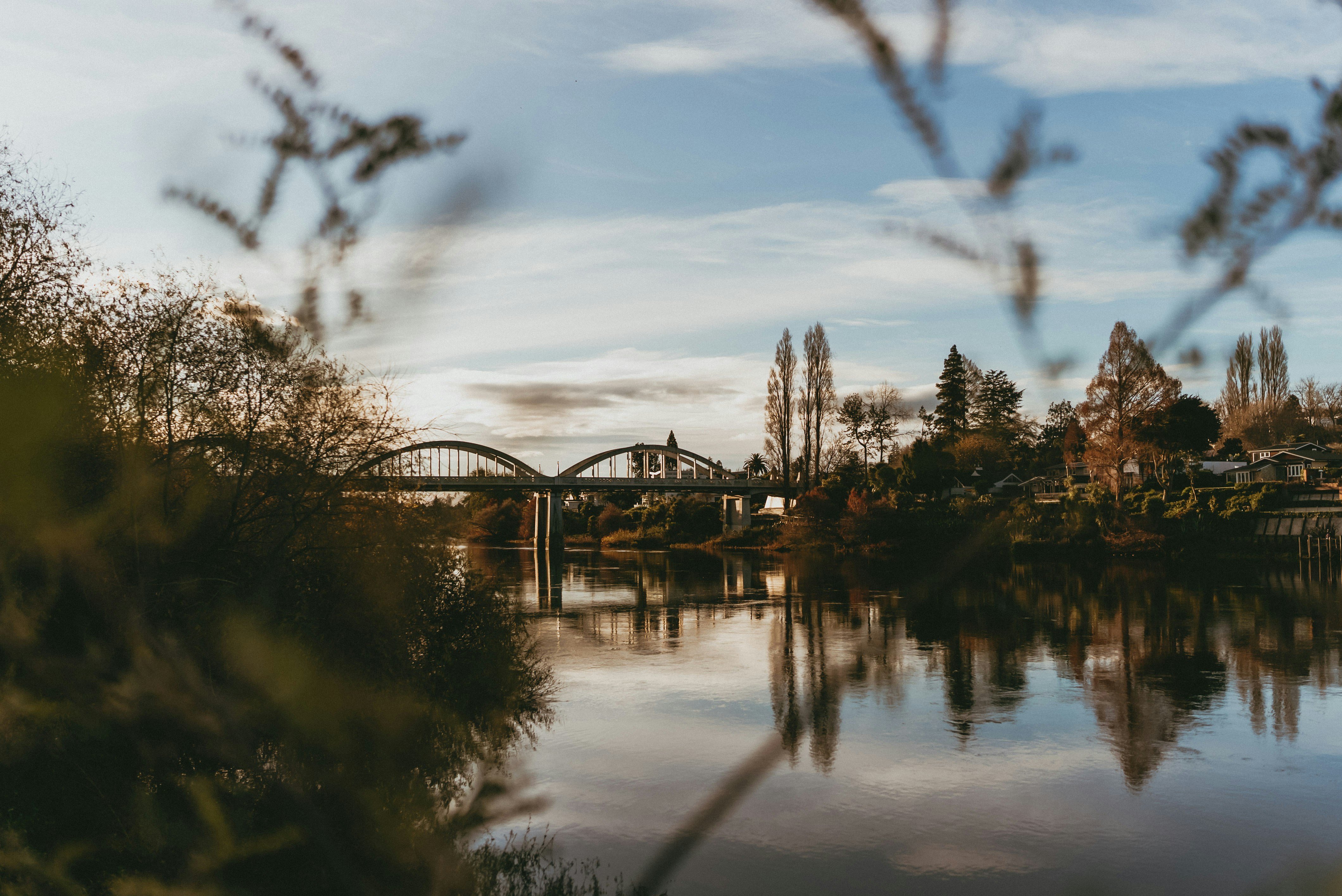 Photo by createinme_nz