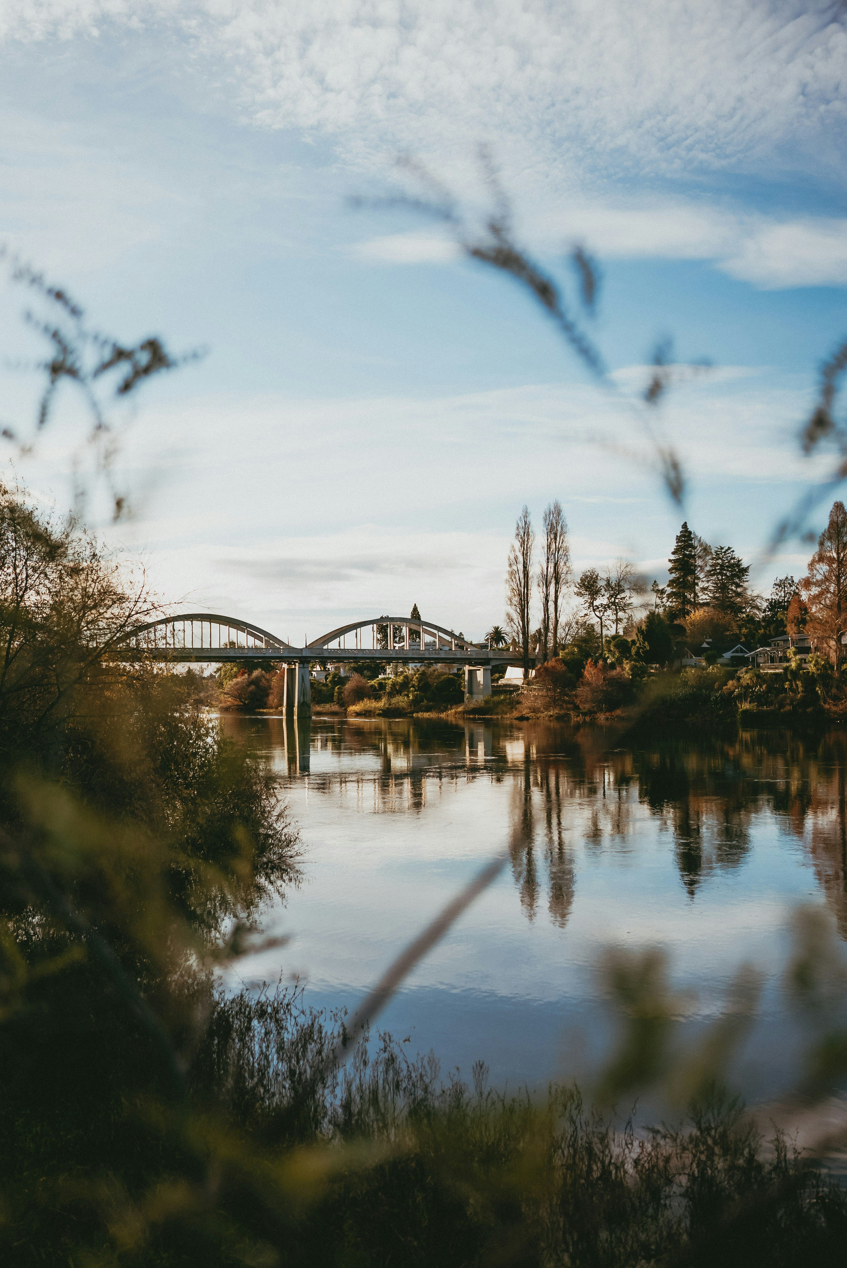 Photo by createinme_nz